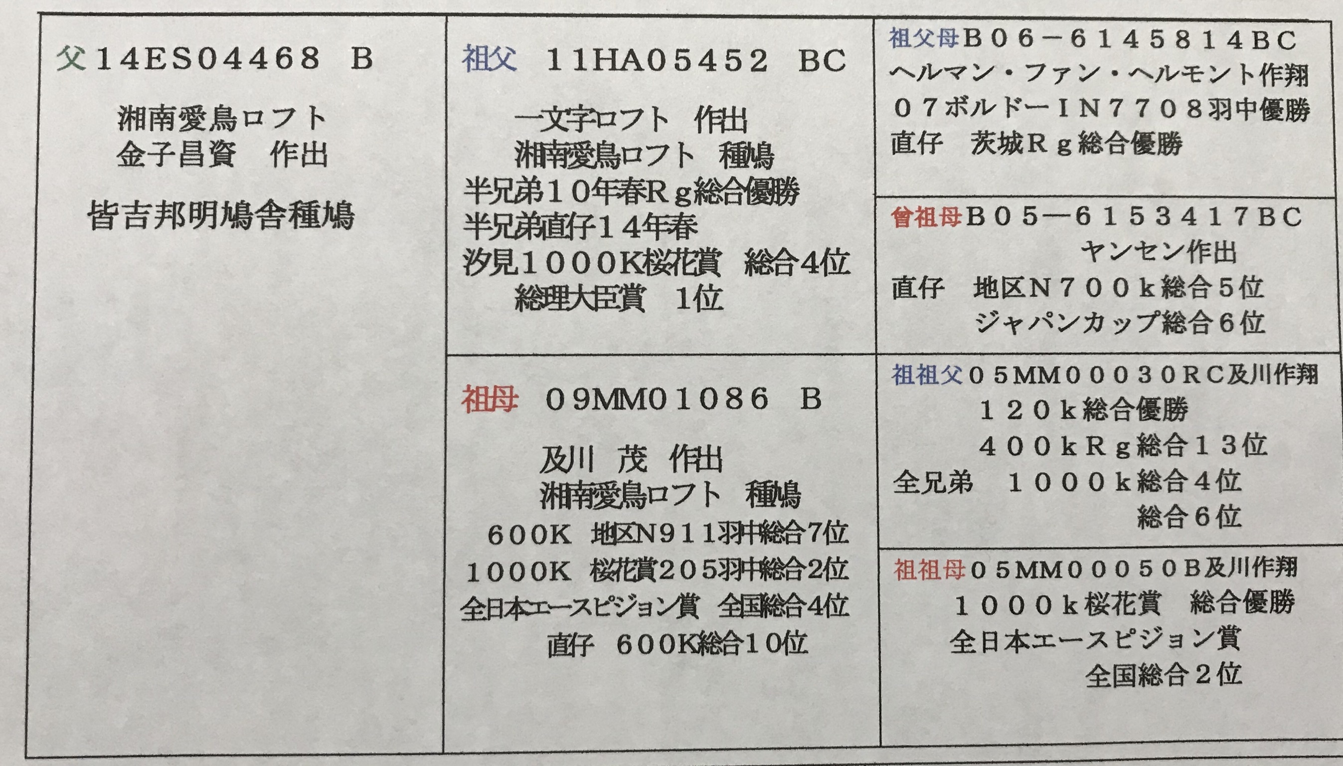 600-父親 600-父親