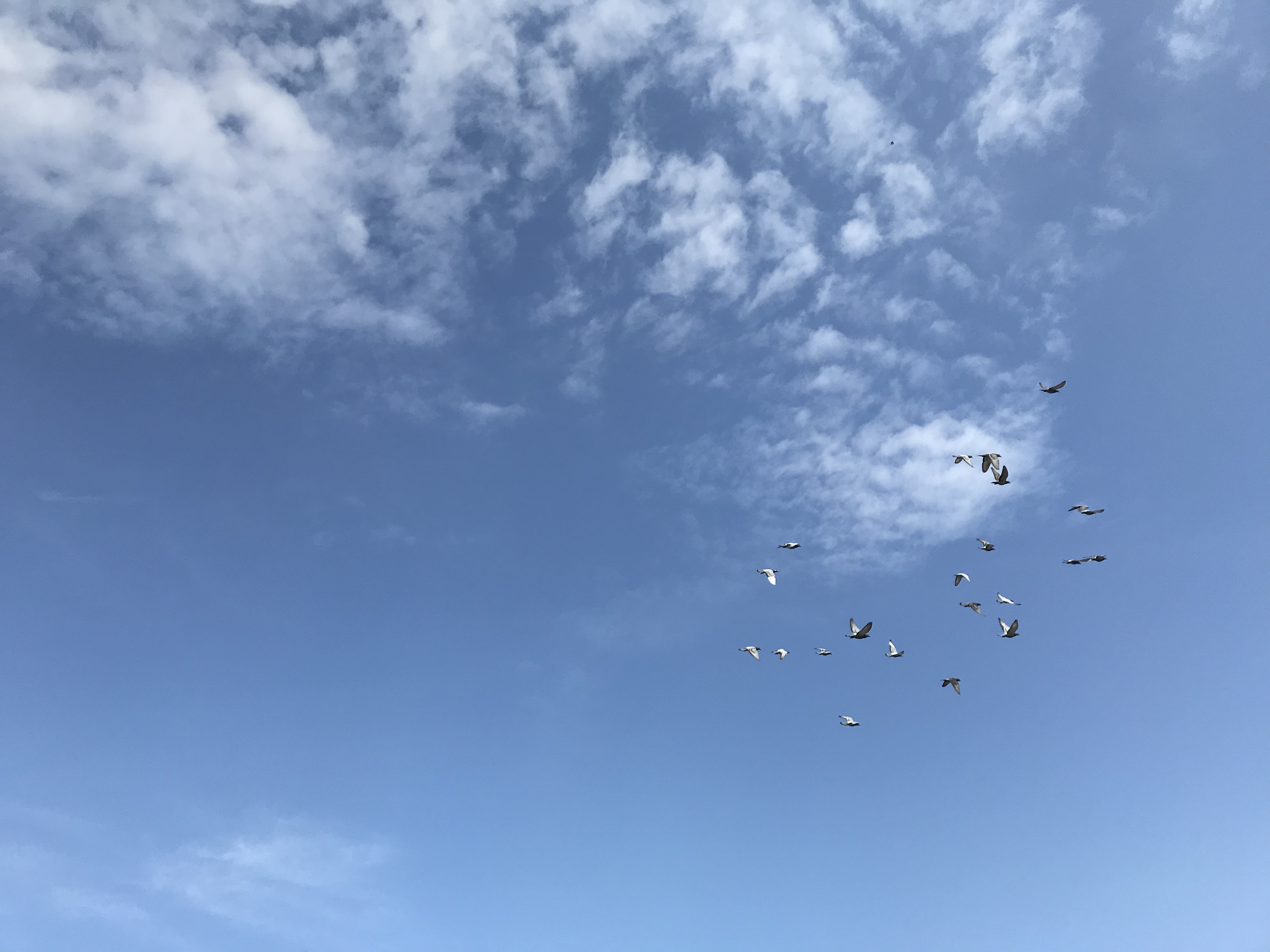 0505 0505