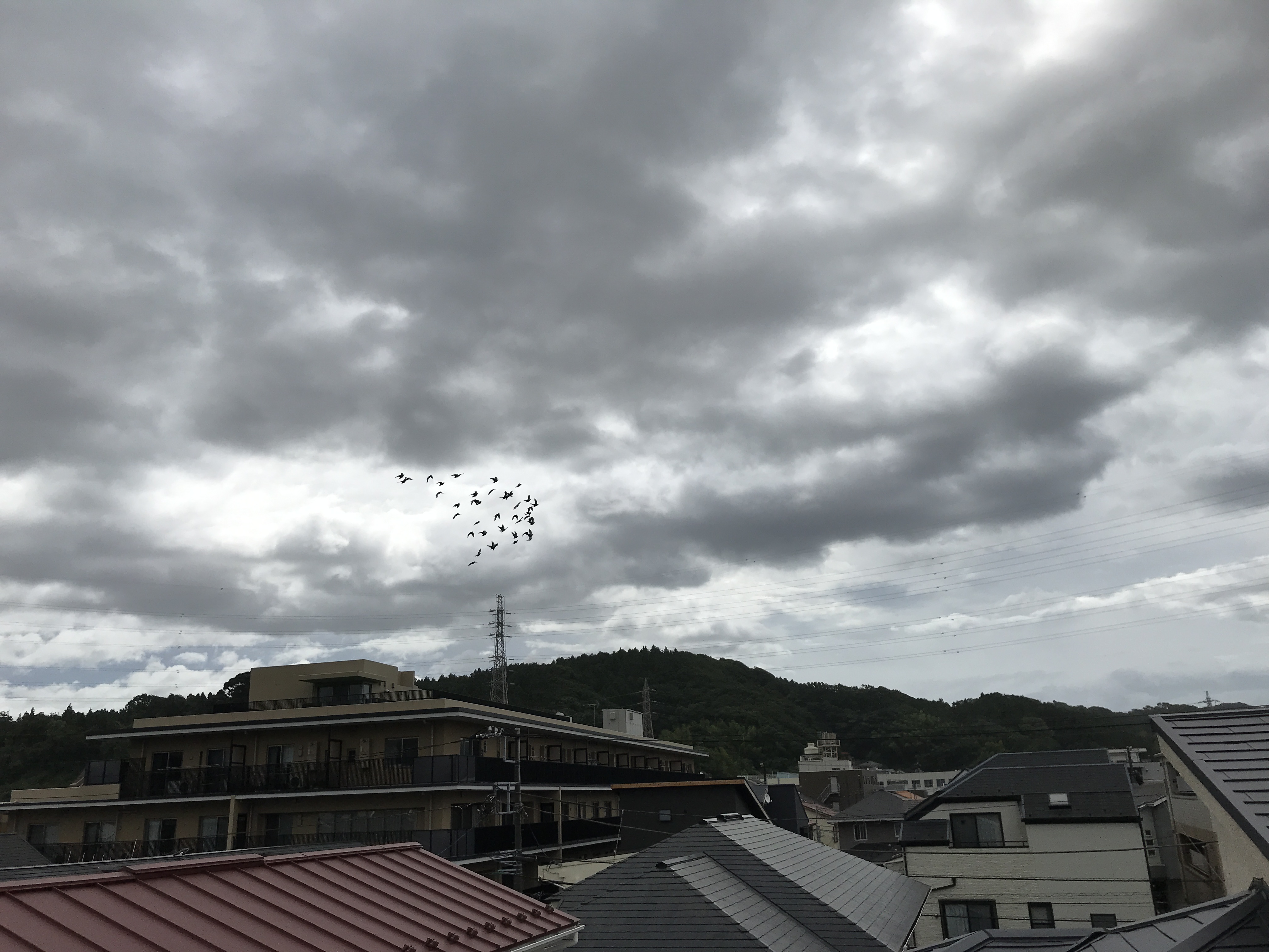 07043 07043