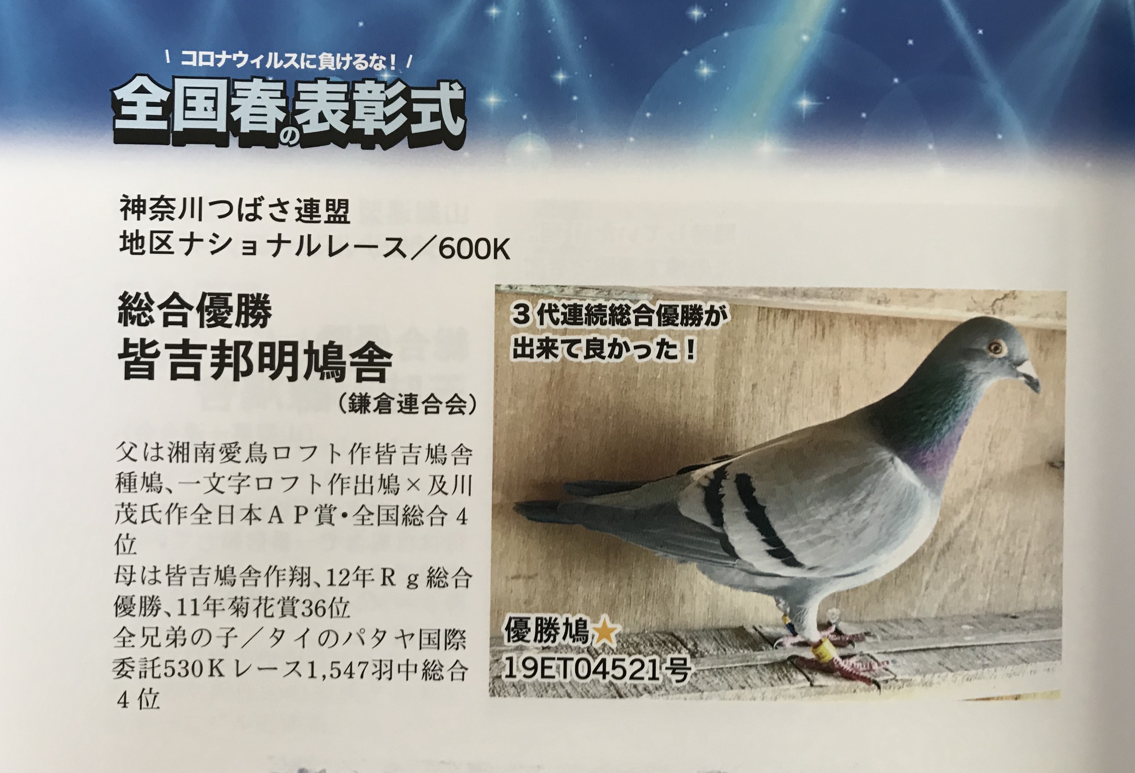愛鳩の友04521 愛鳩の友04521