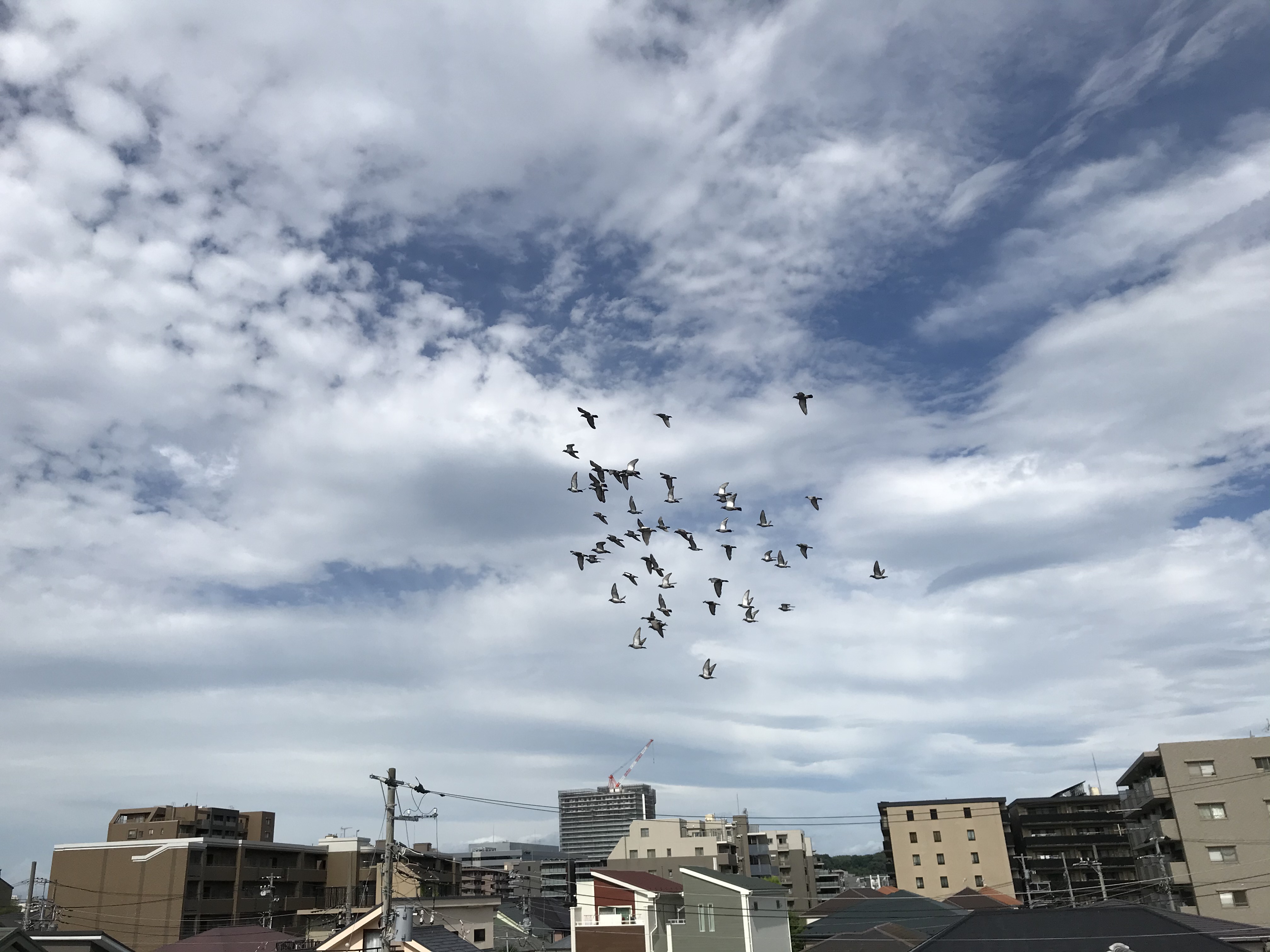 07272 07272