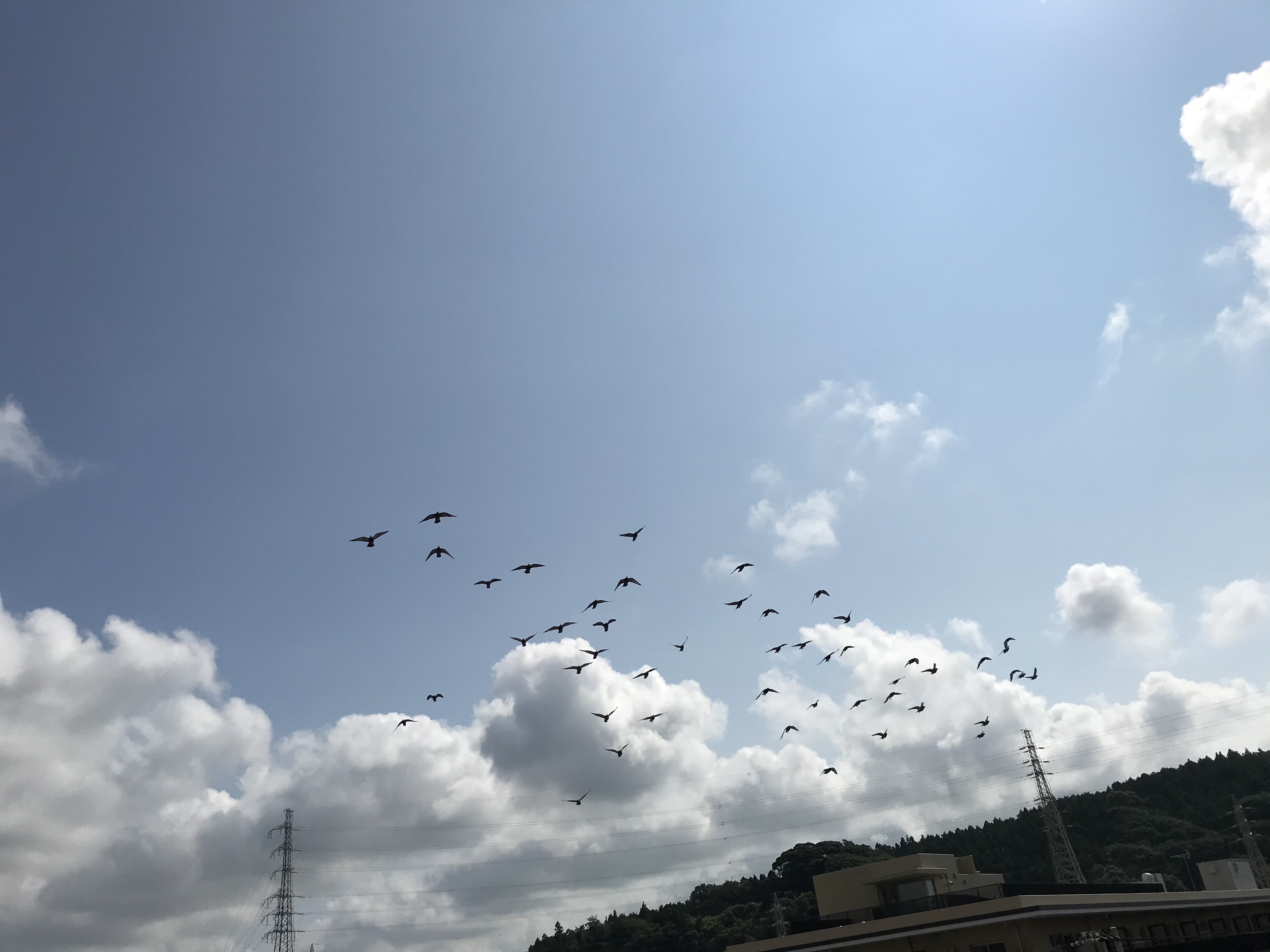 08042 08042