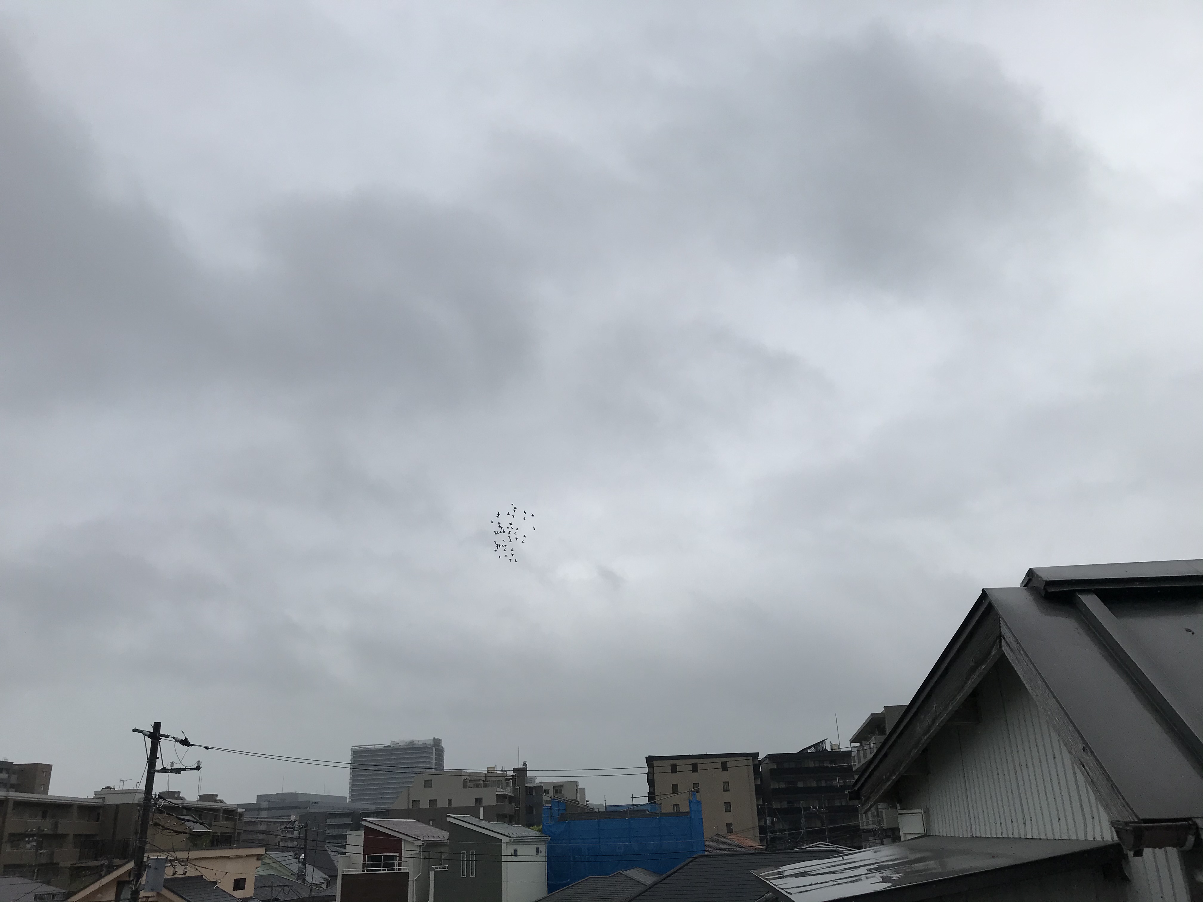 09021 09021