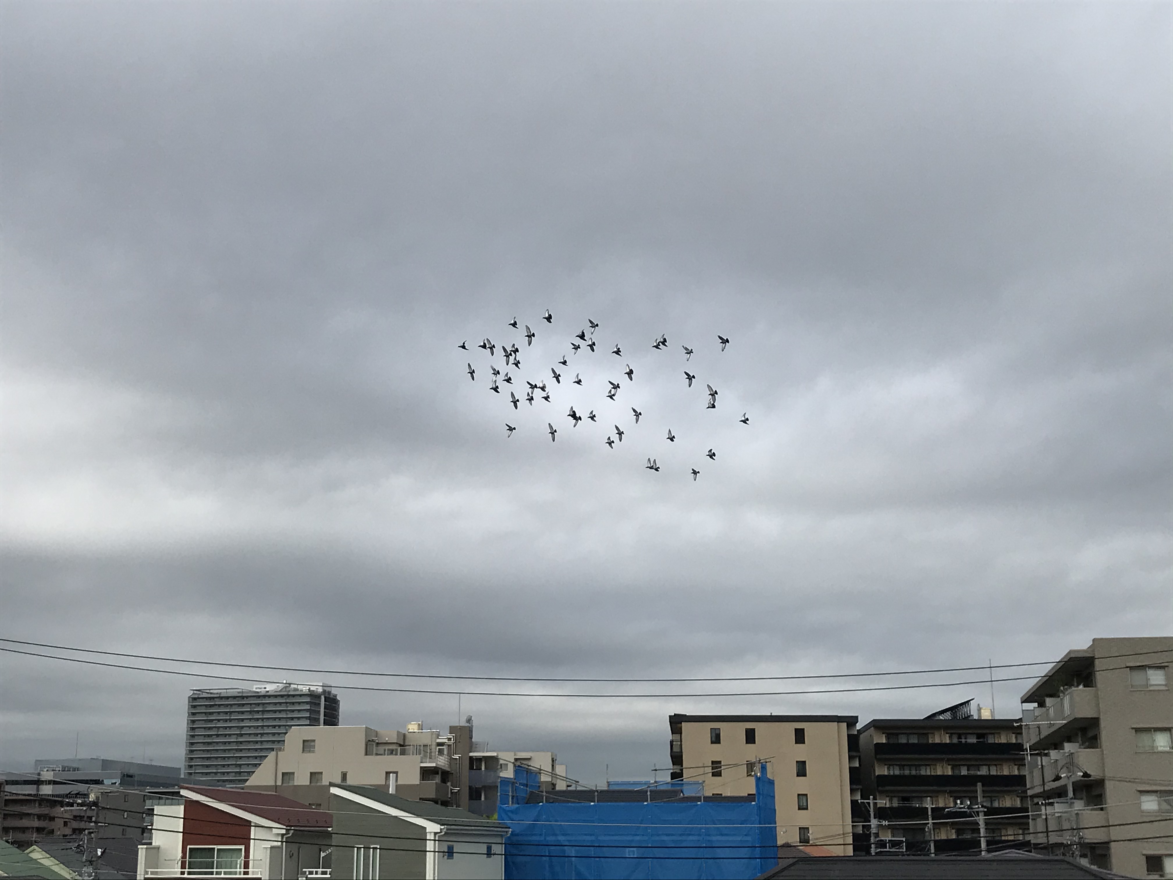 09131 09131
