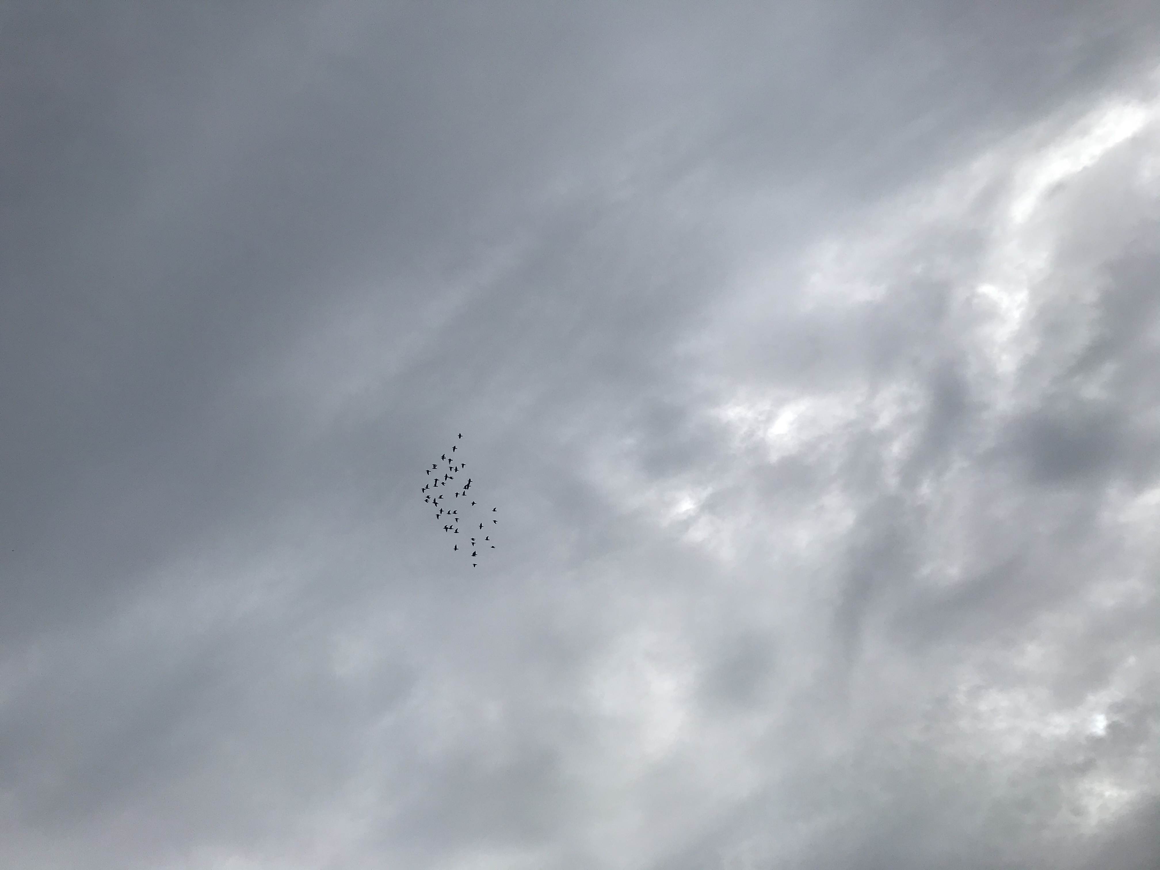 10051 10051