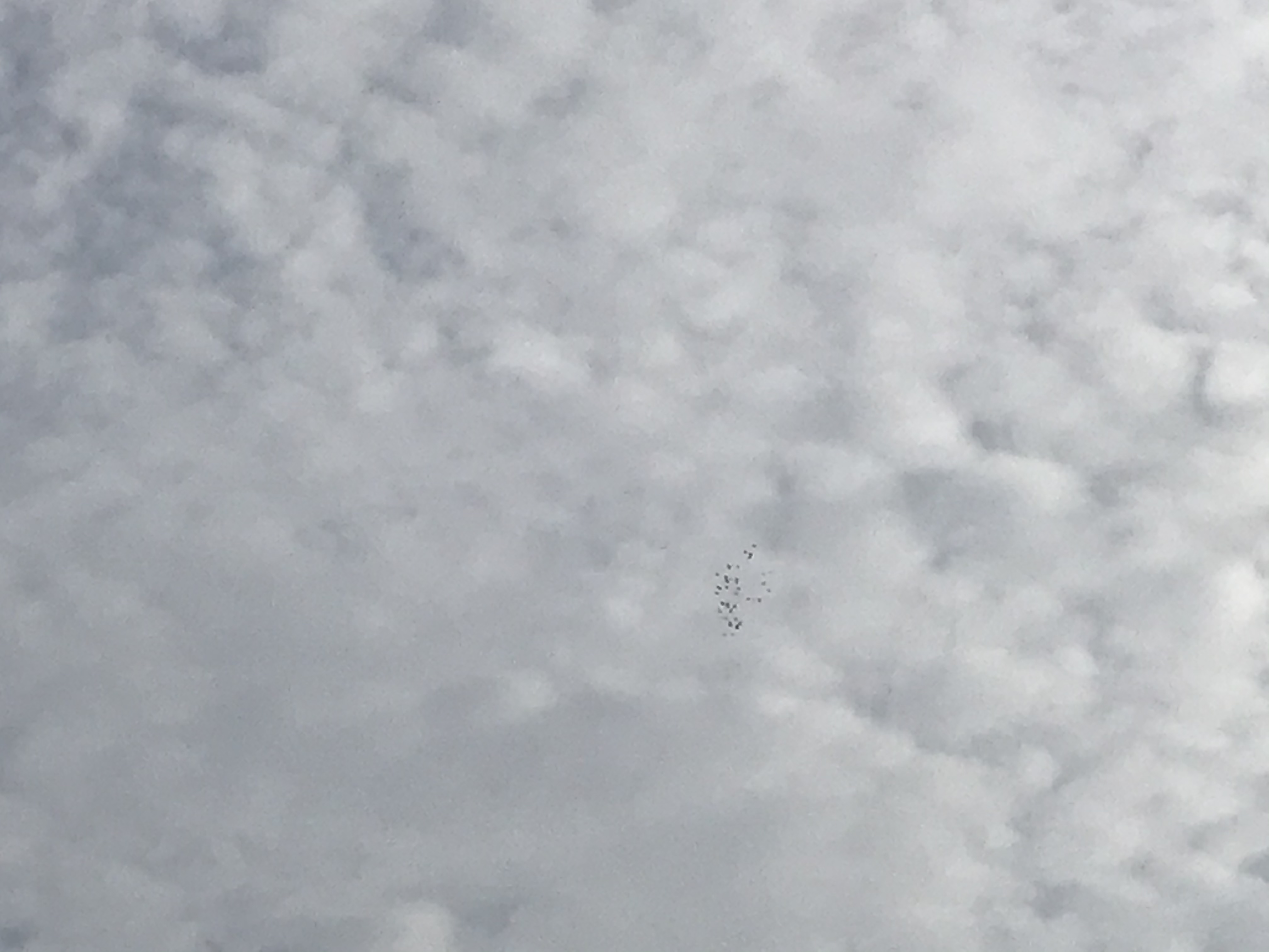 10281 10281