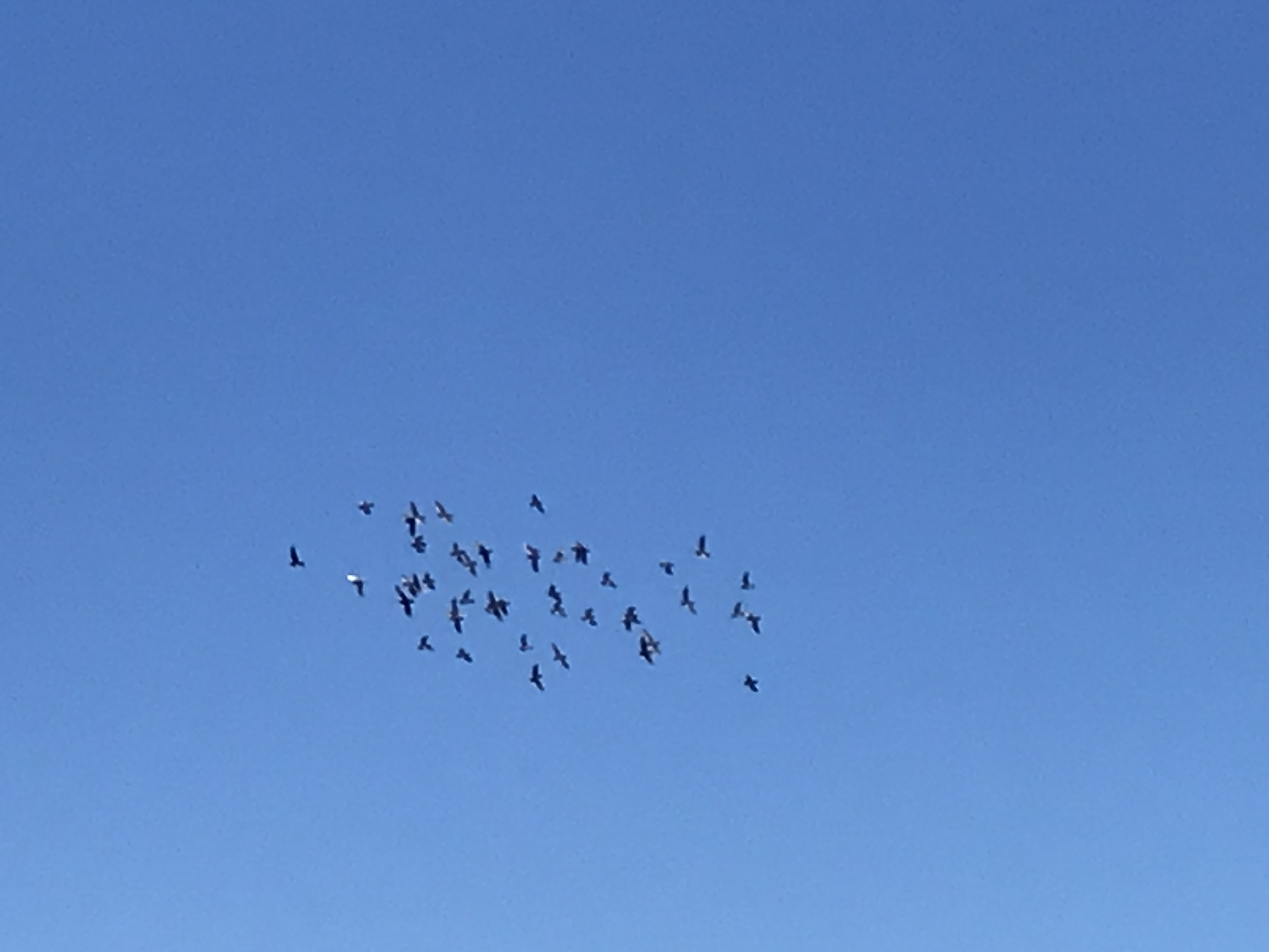 11101 11101