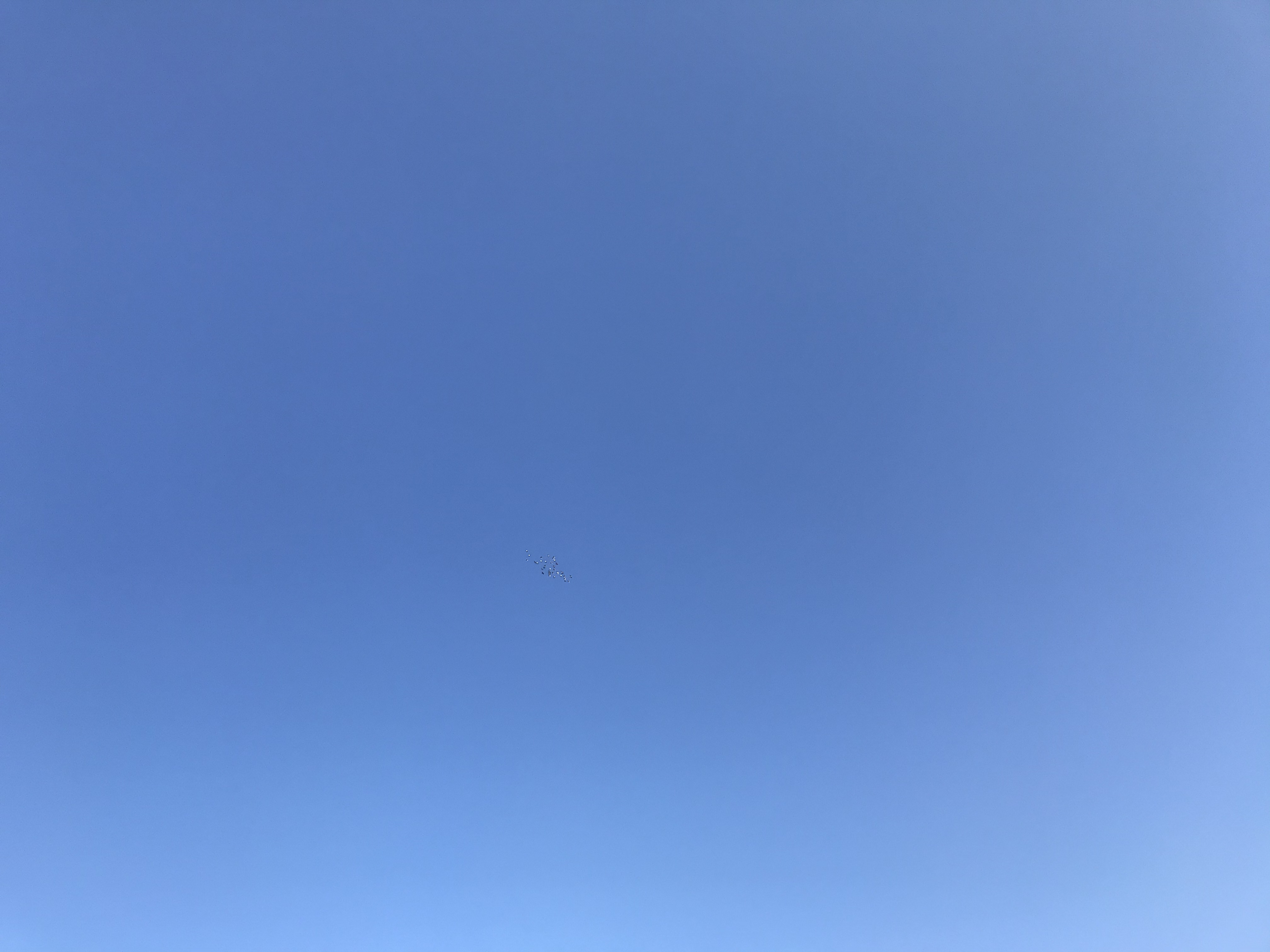 11171 11171