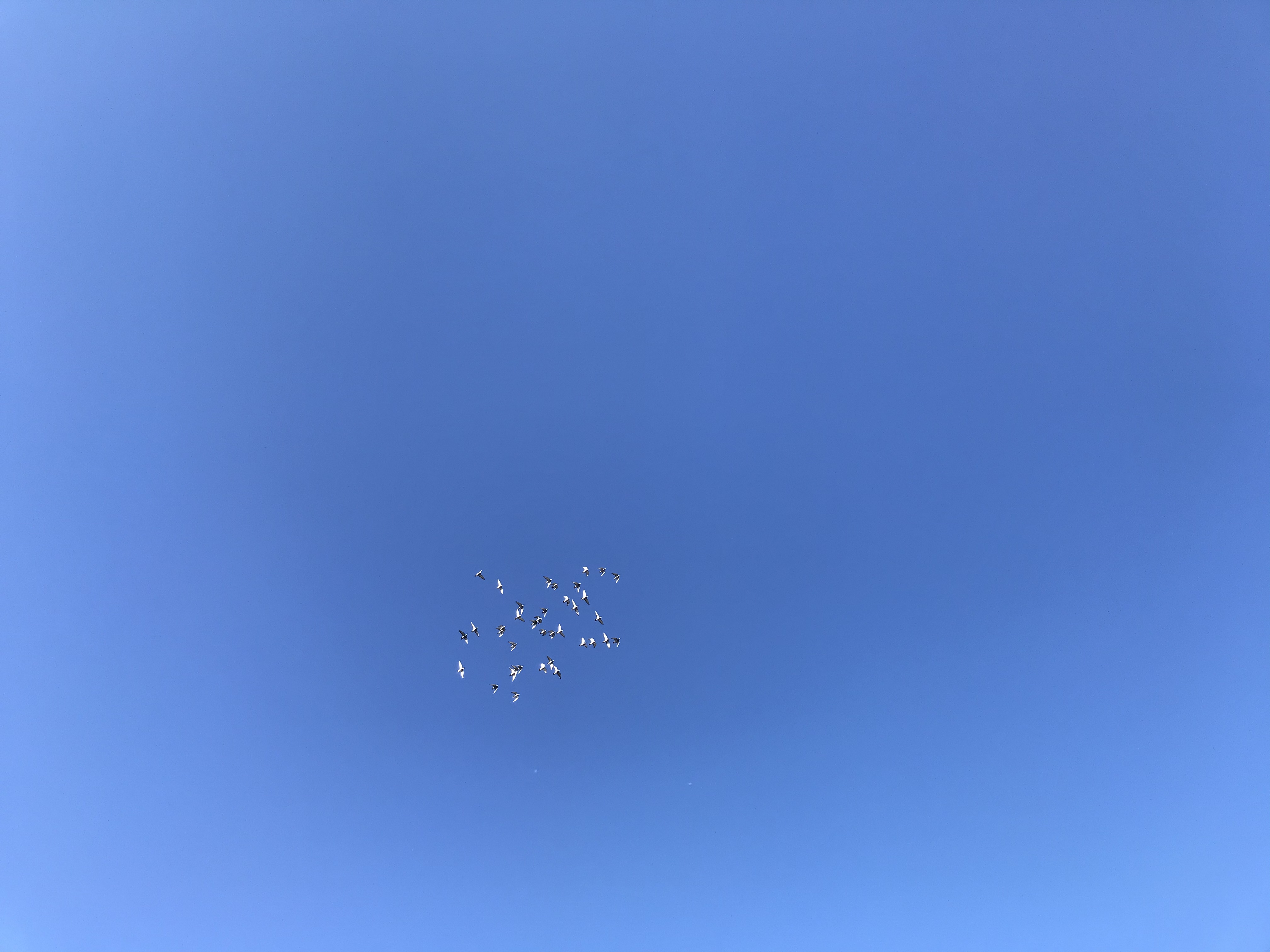 11211 11211