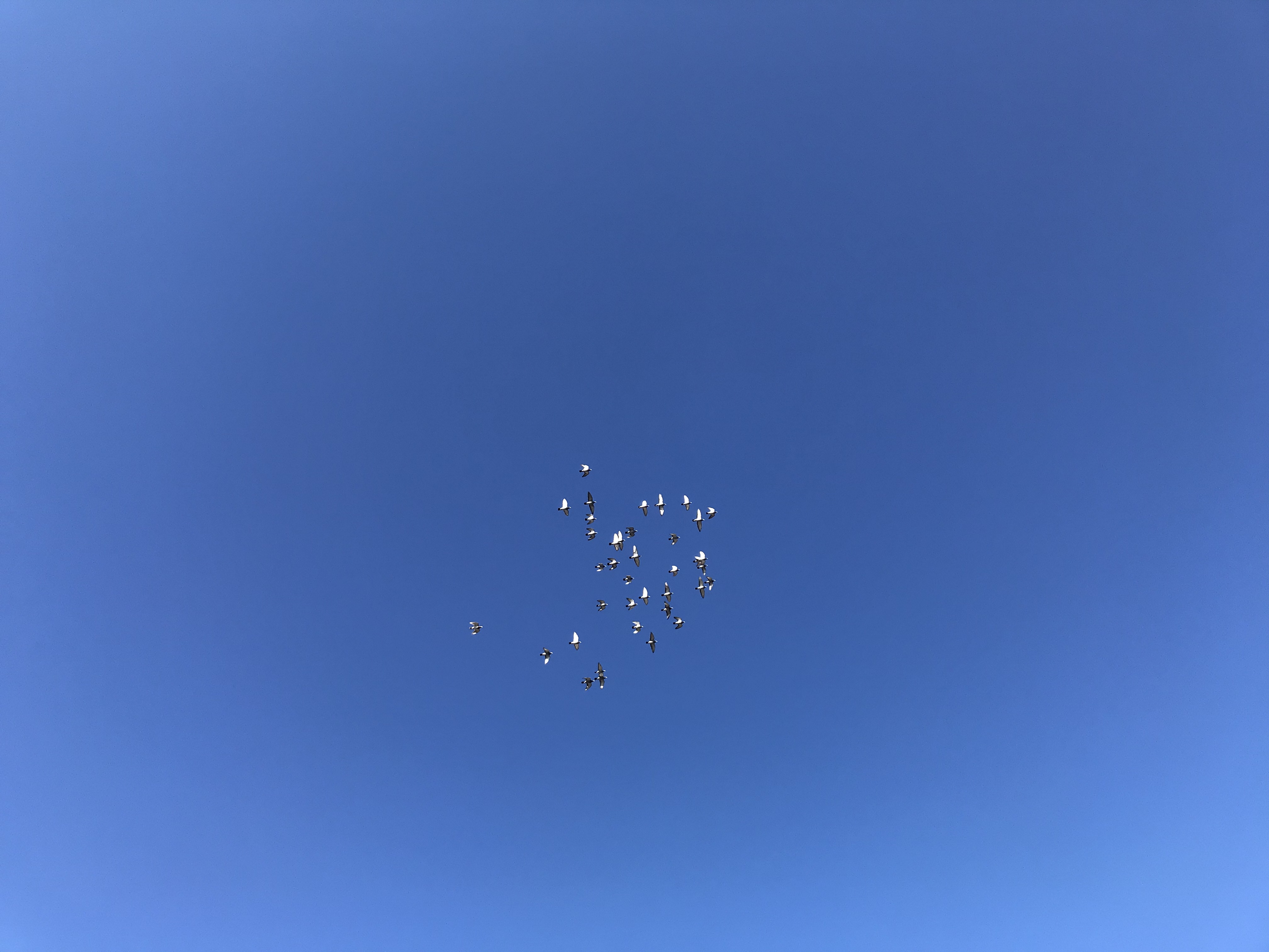11212 11212