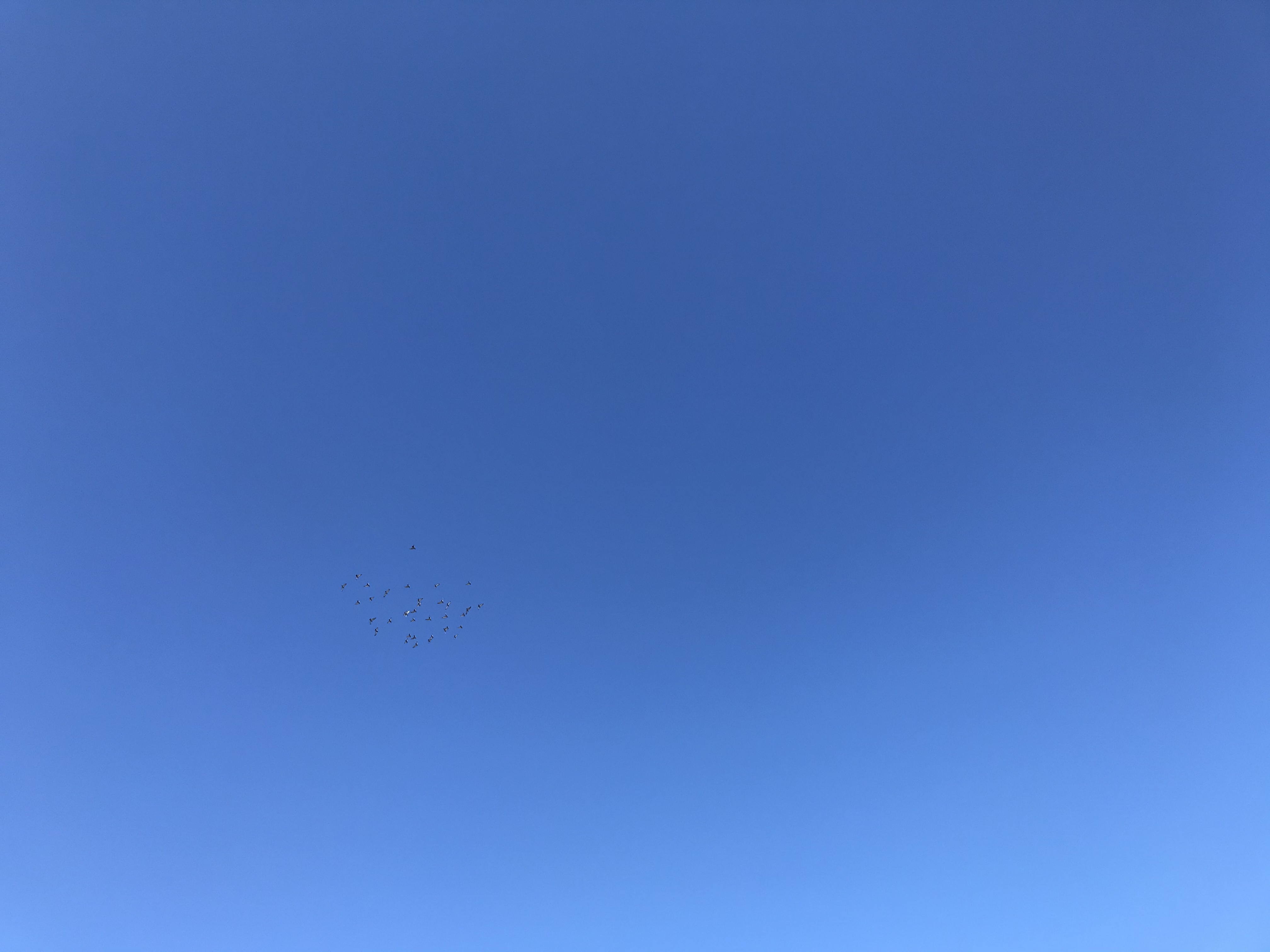 11231 11231