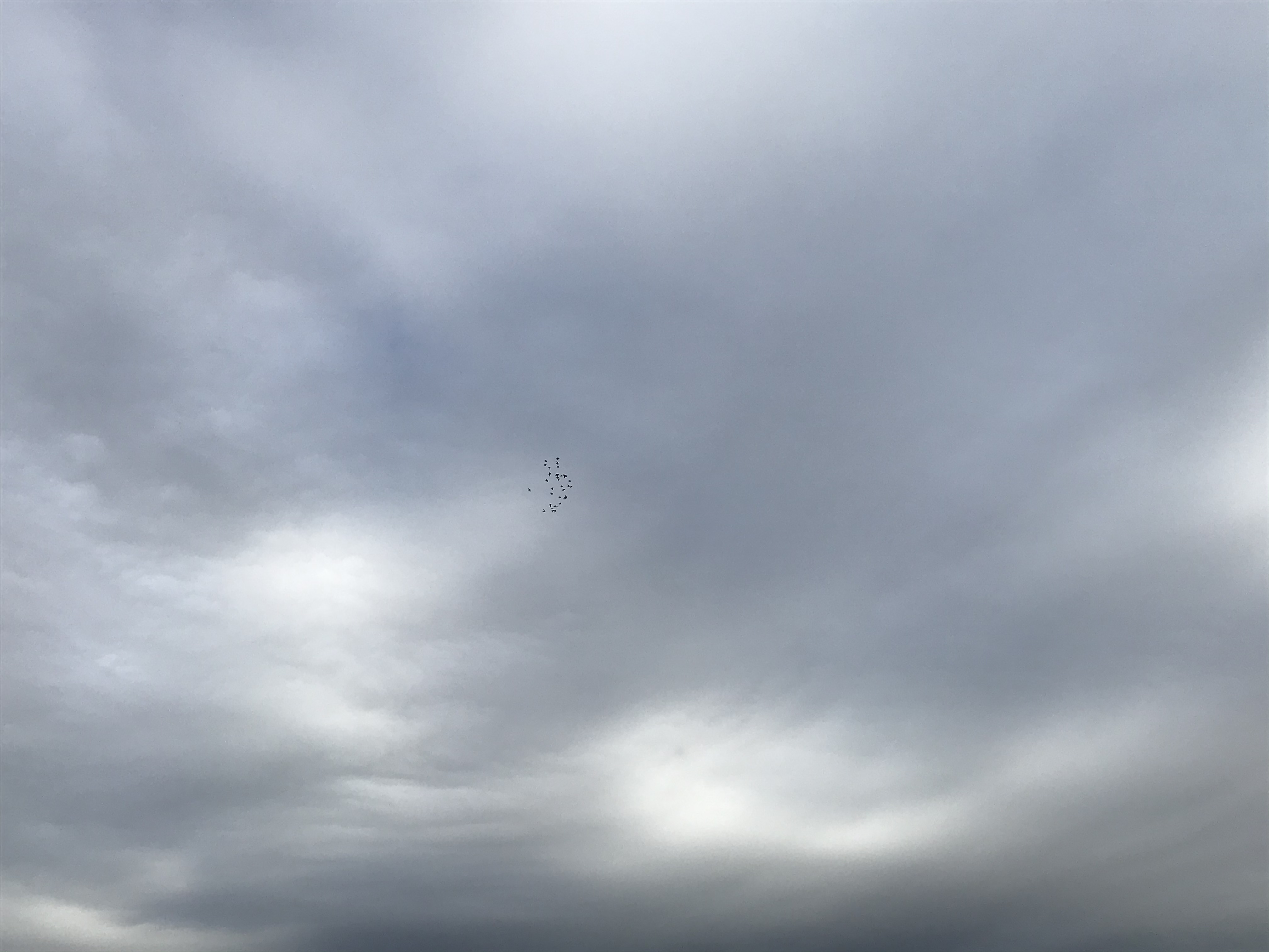 11241 11241