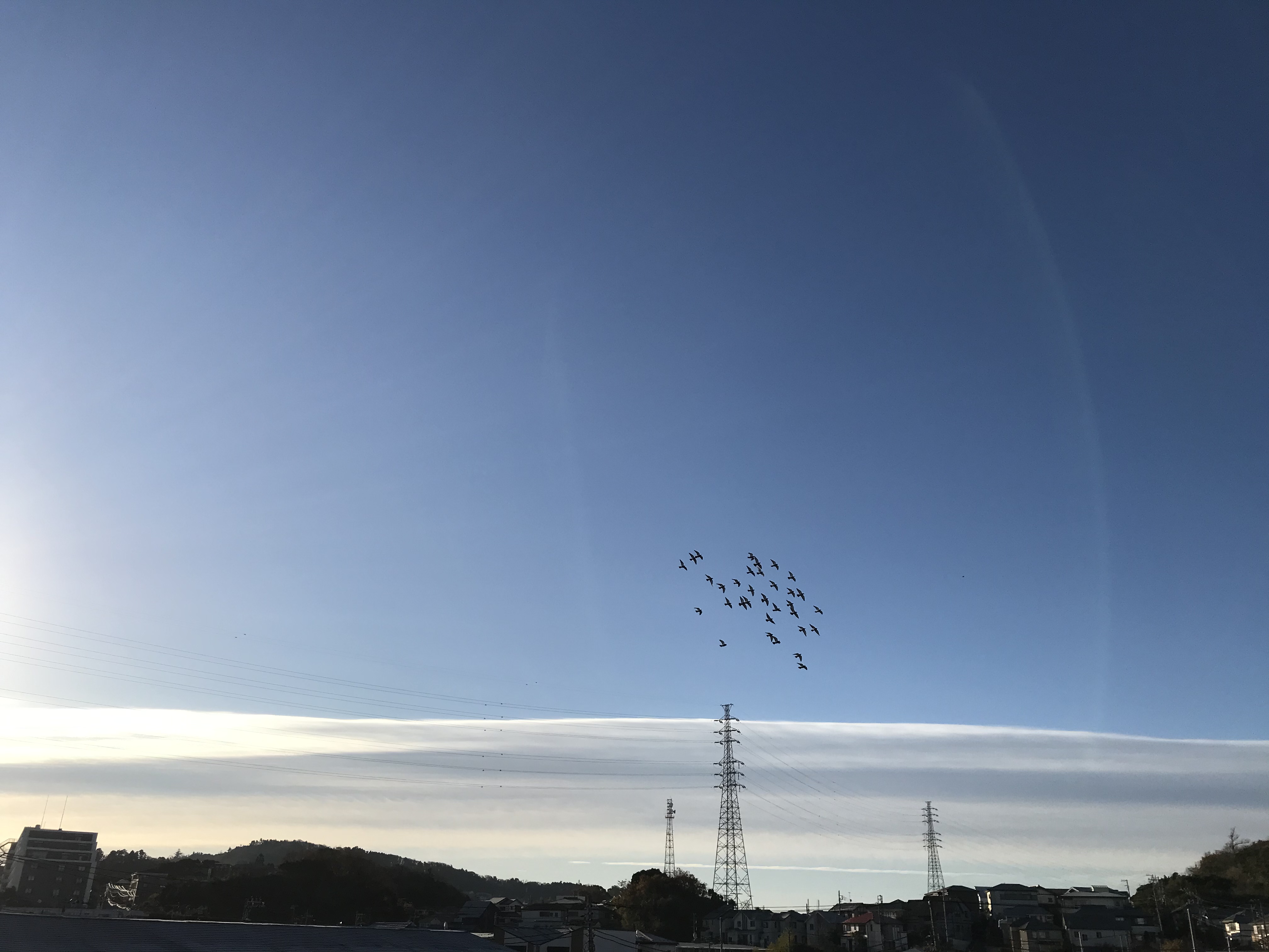 12202 12202