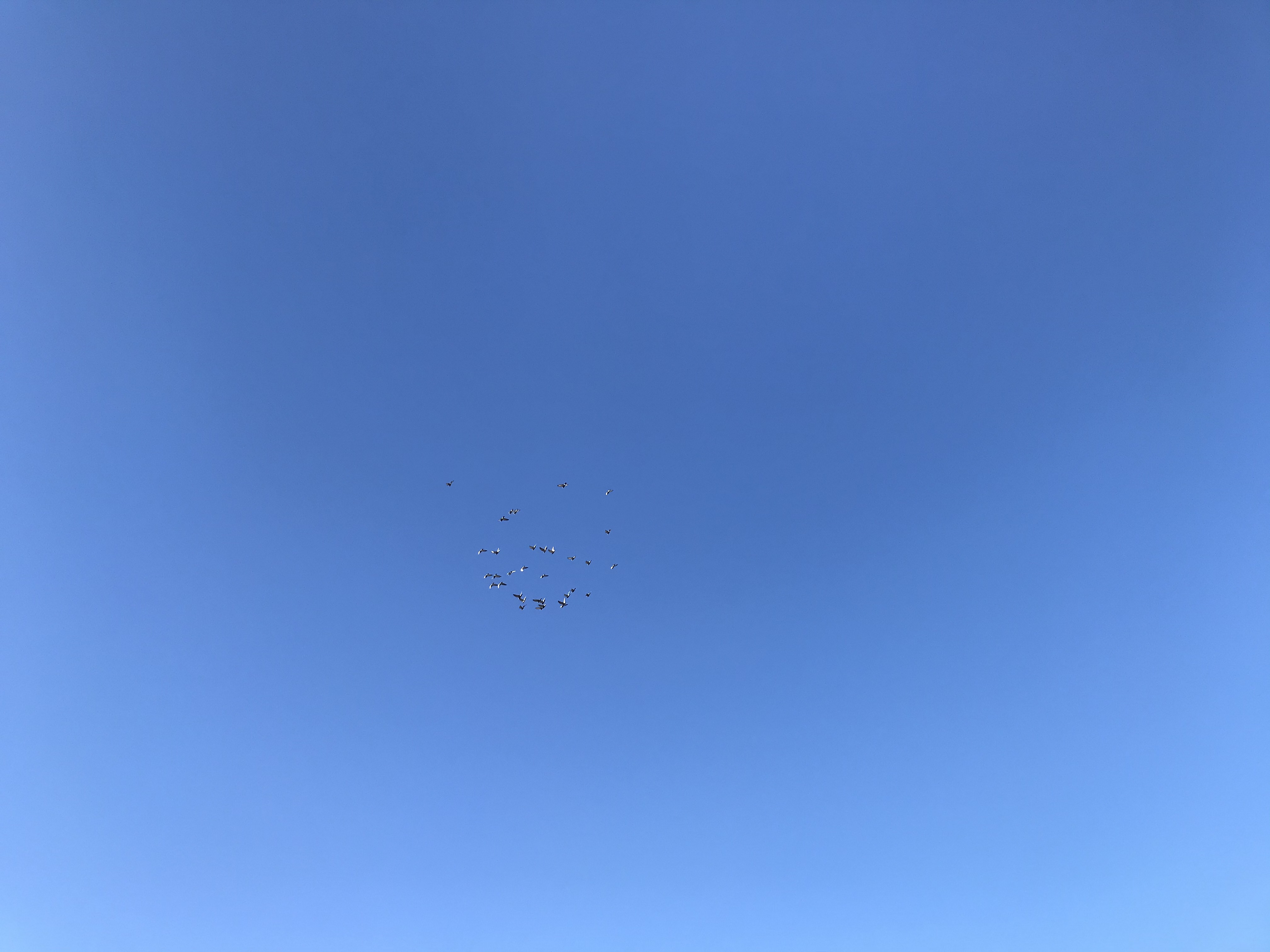 12203 12203
