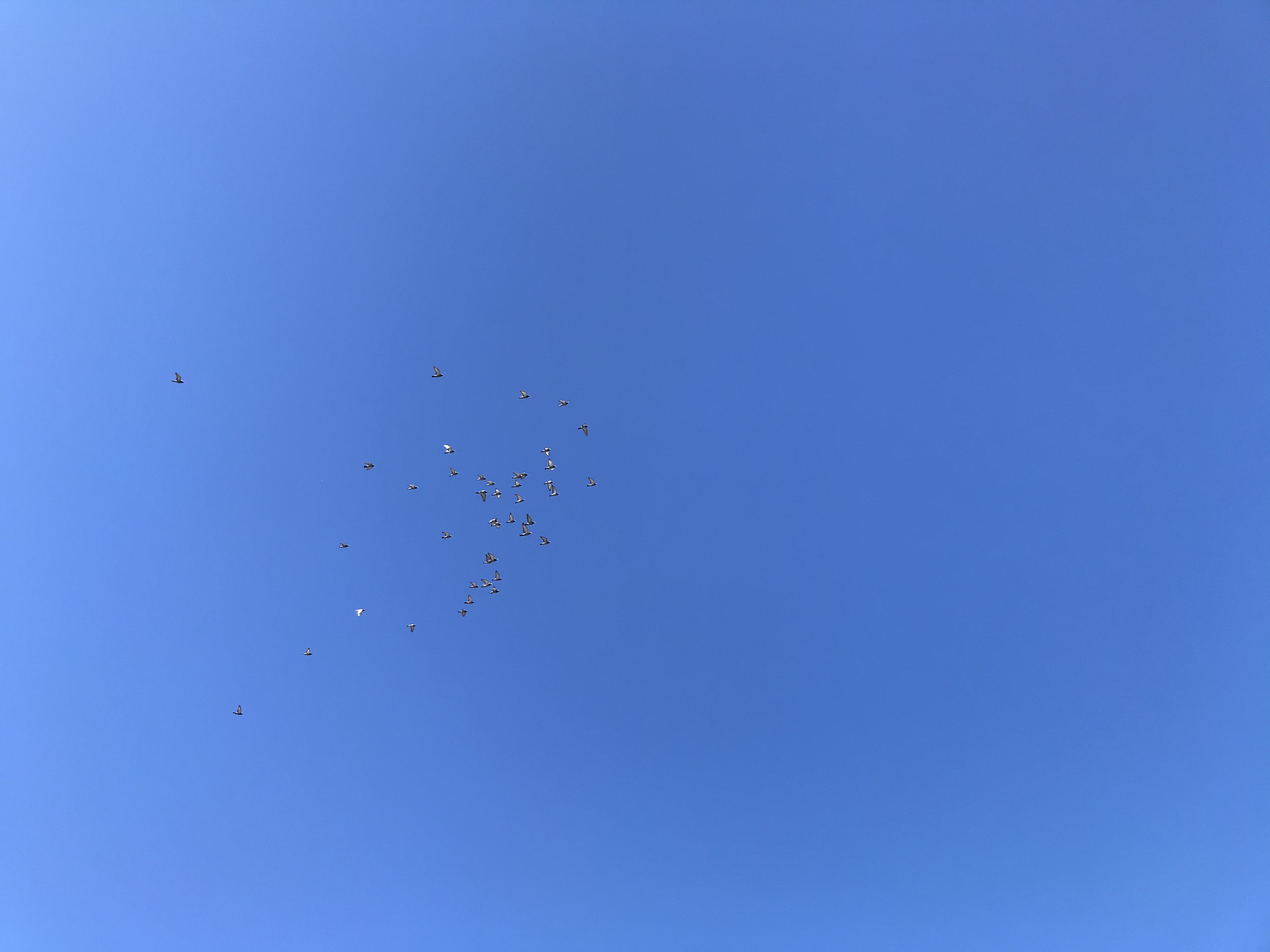 0102/1 0102/1