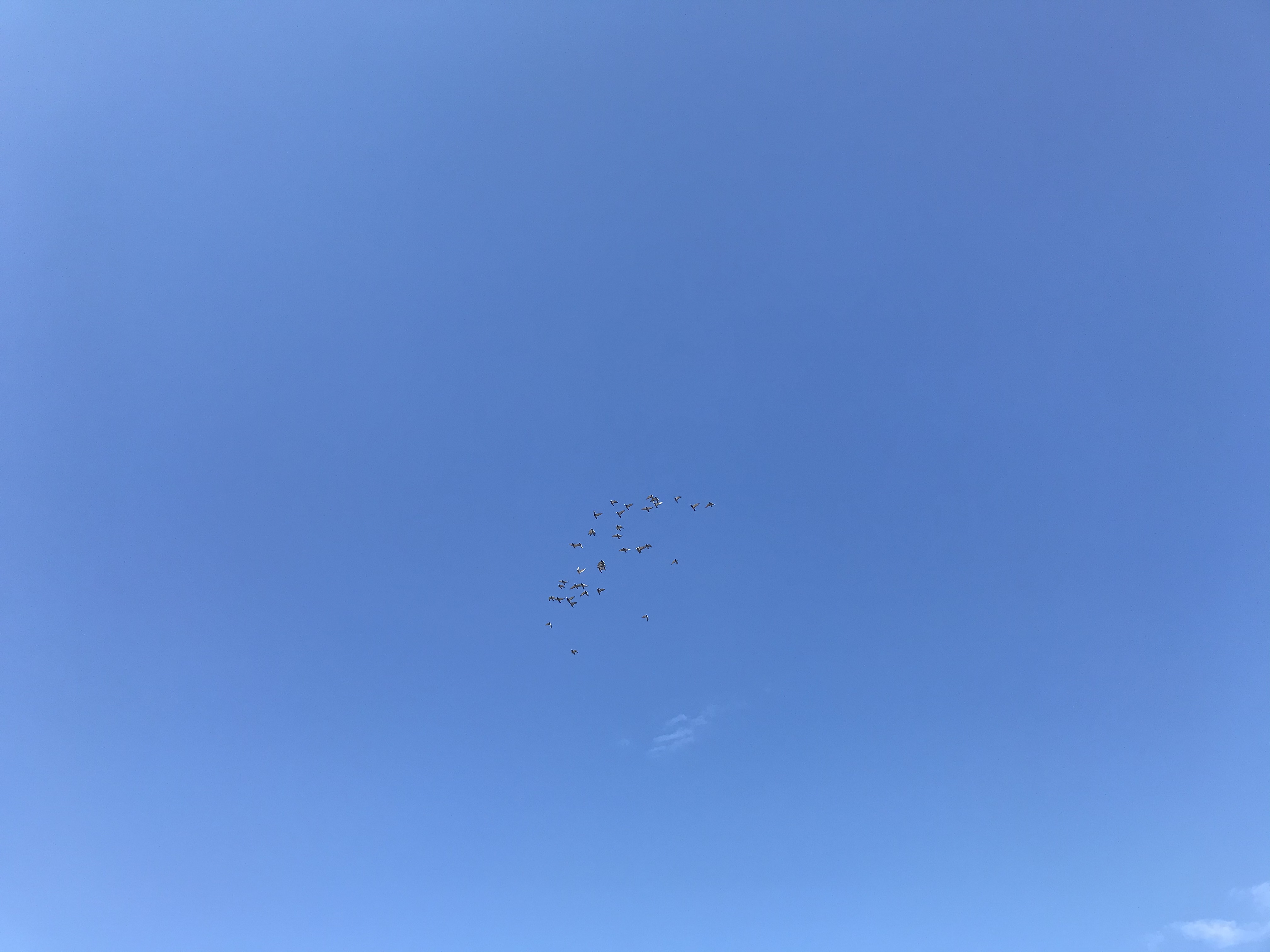 0122/1 0122/1