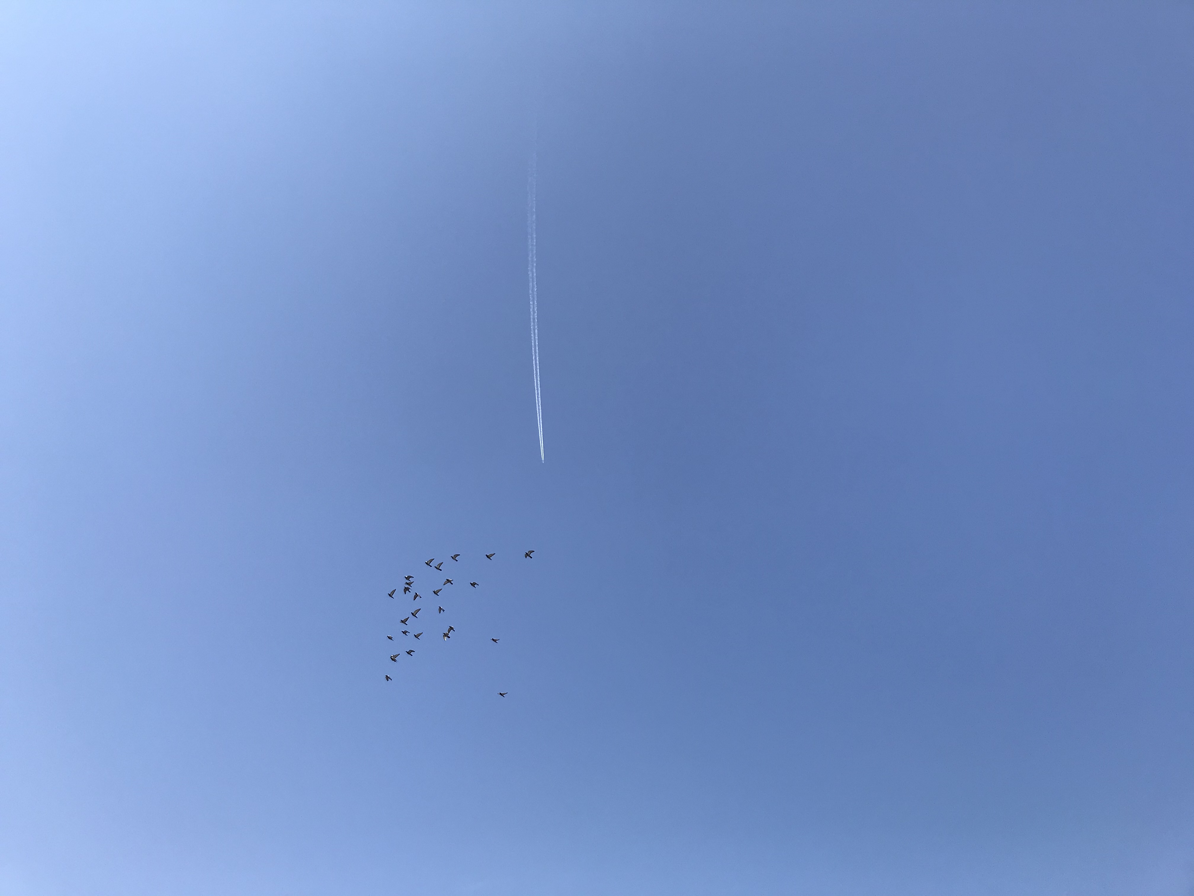 0327/2 0327/2