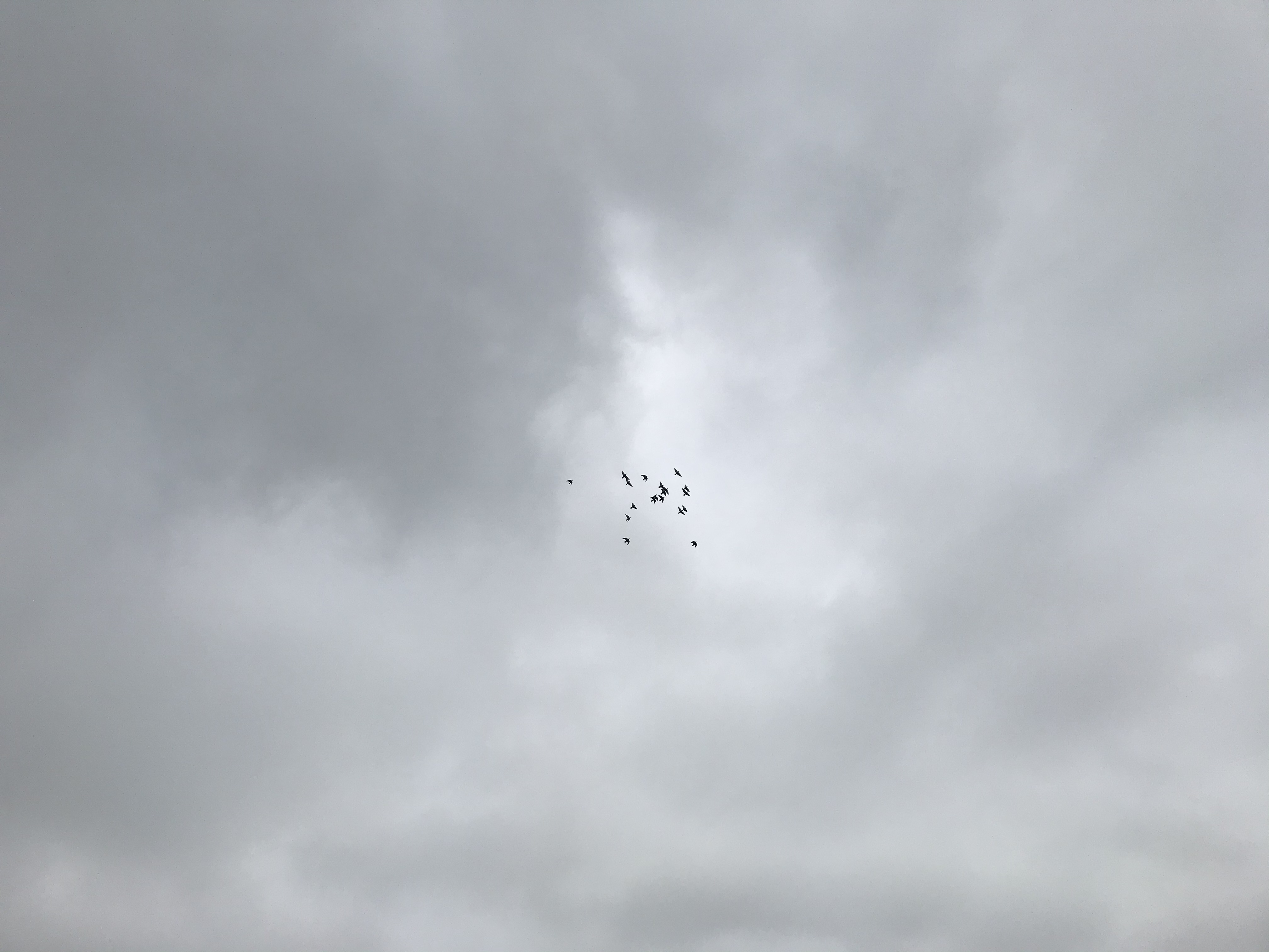 0520/1 0520/1