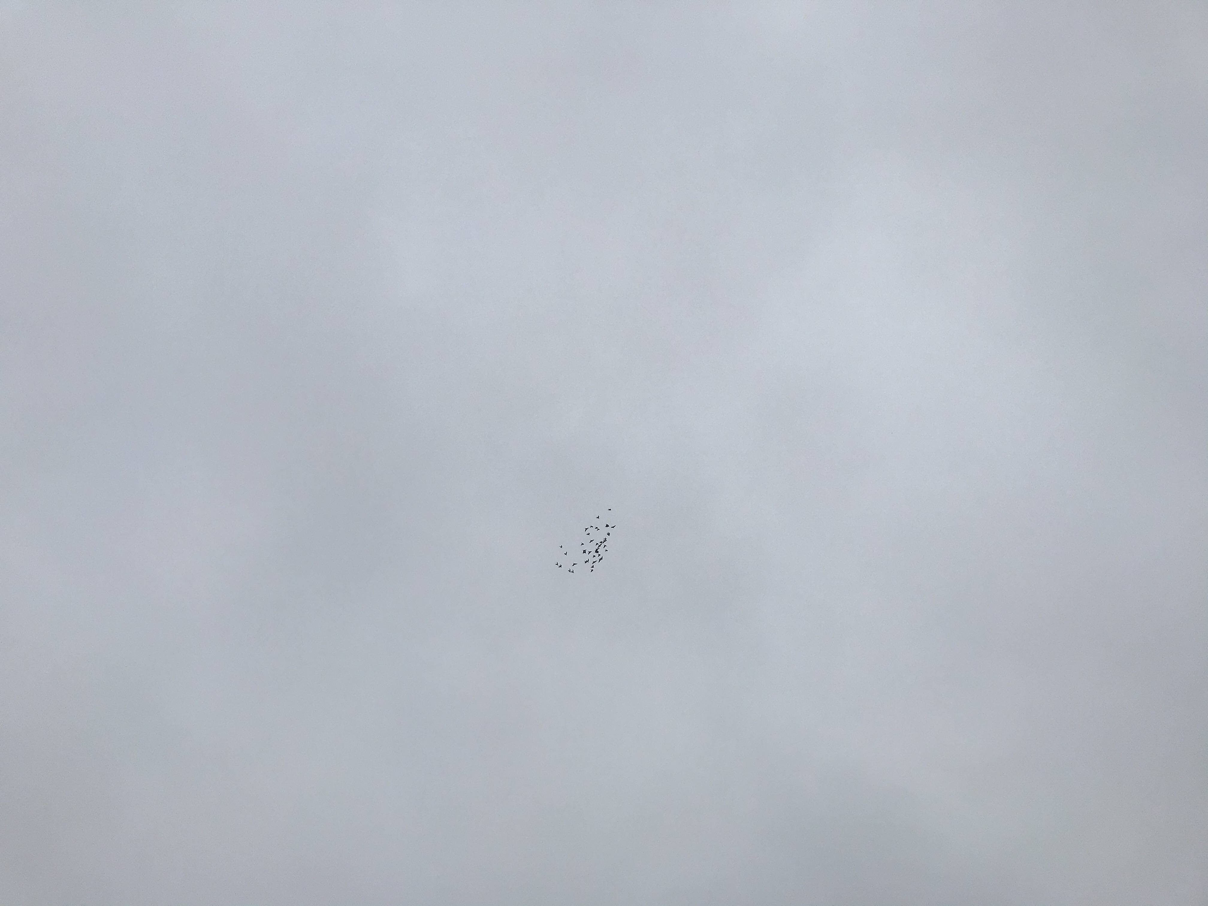 0705/1