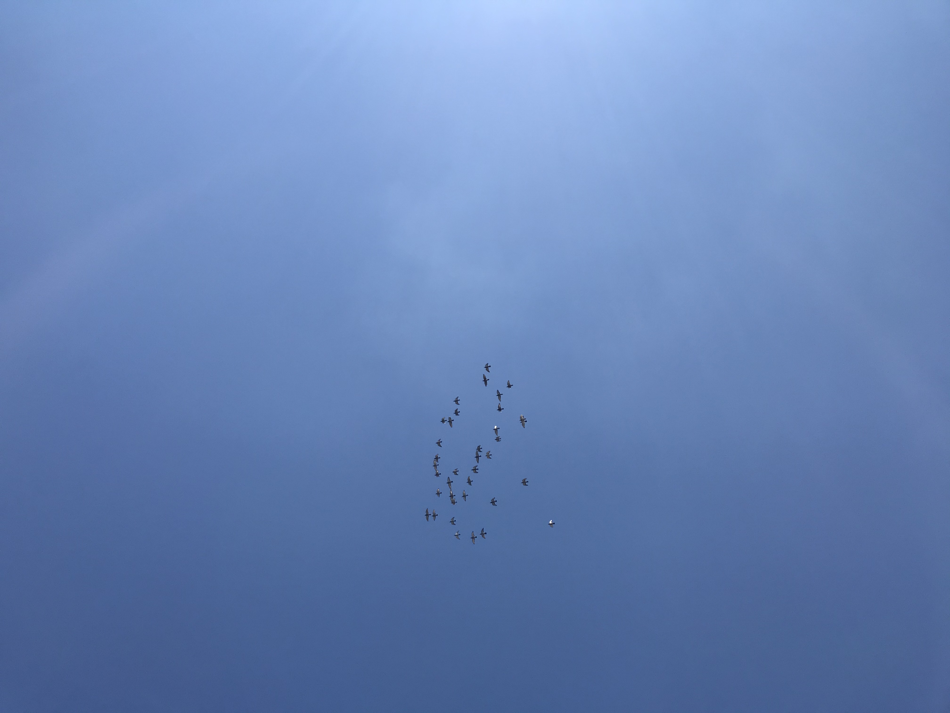 0710/1 0710/1