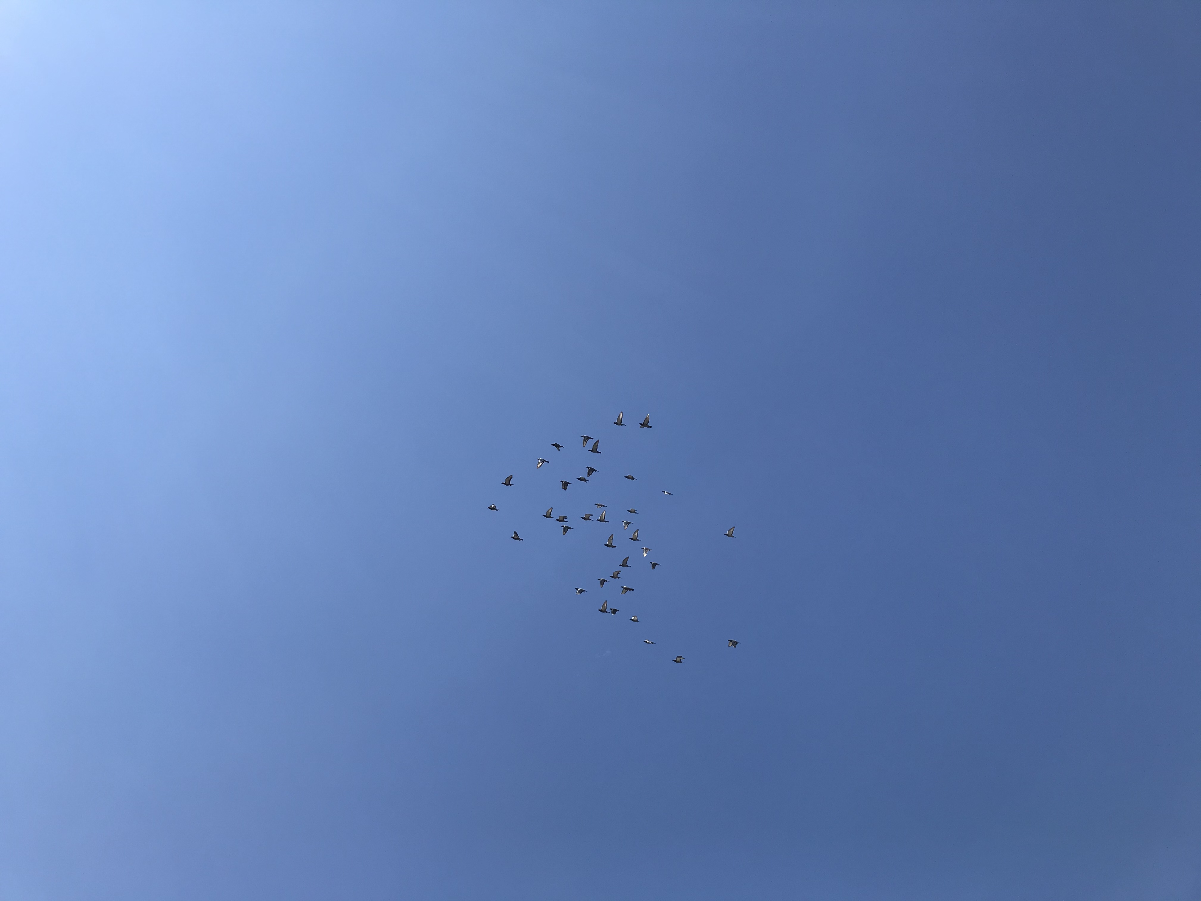 0710/2 0710/2