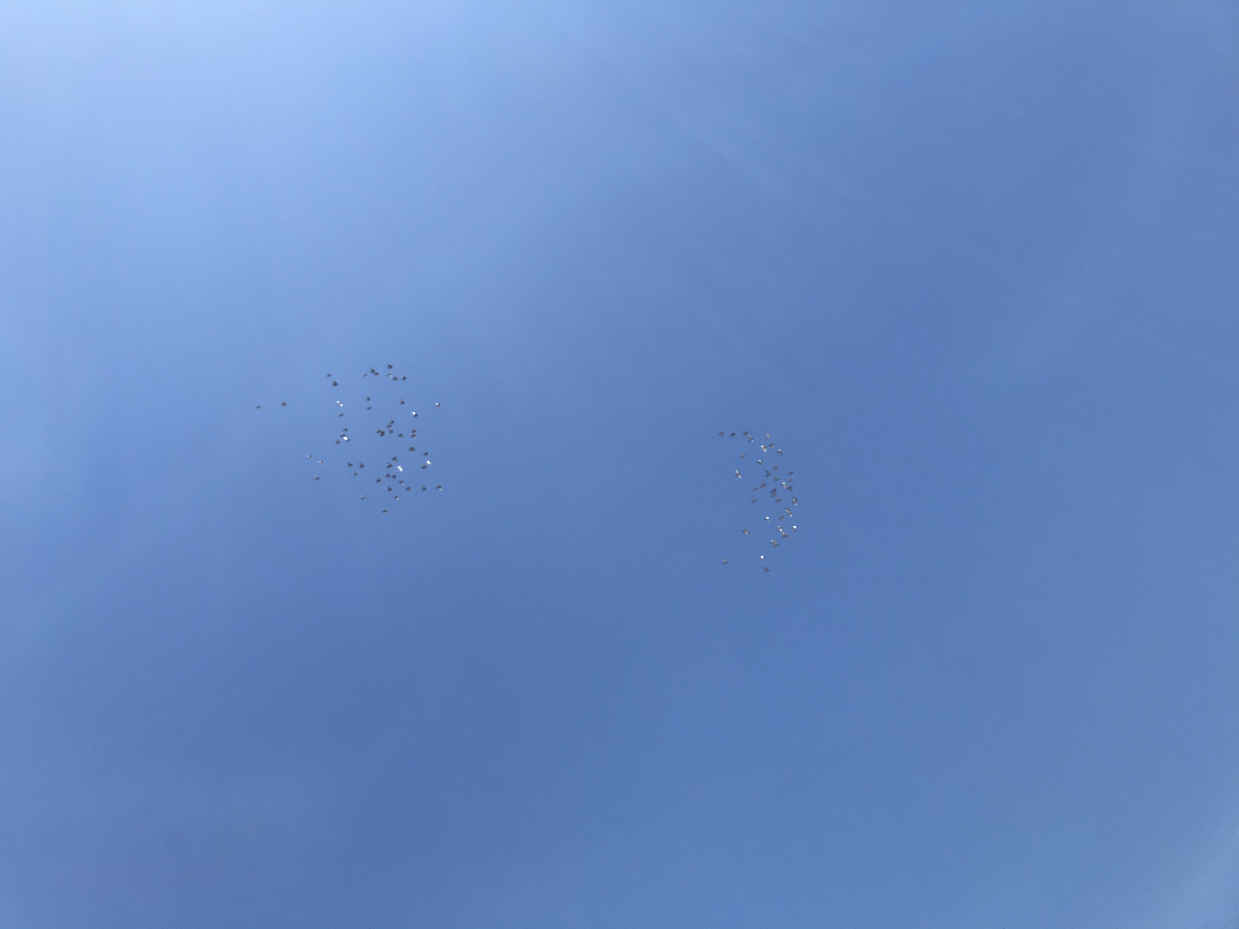 0718/2 0718/2
