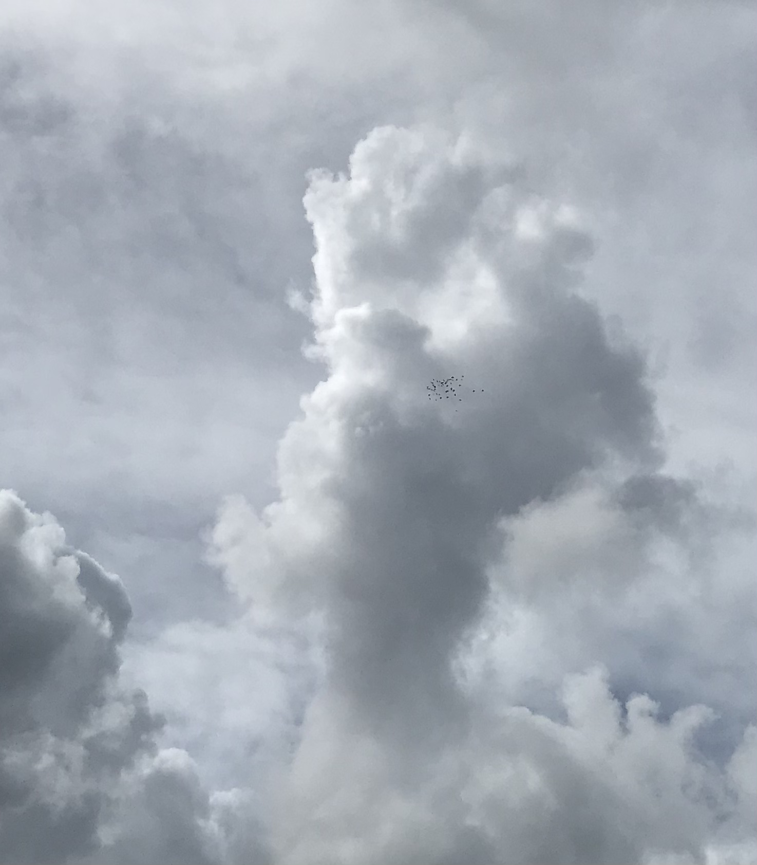 0807/1 0807/1