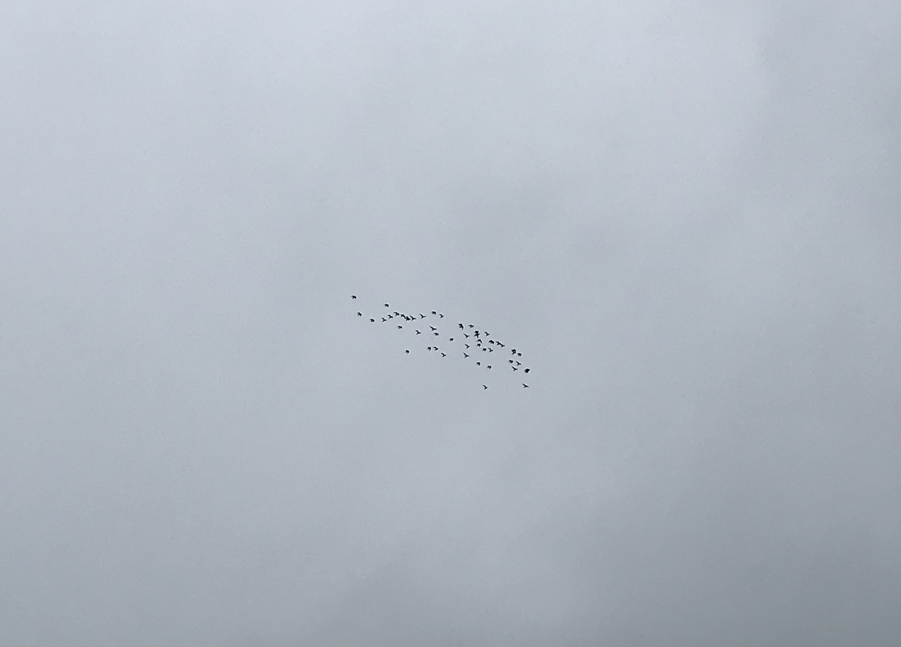 0901/3 0901/3
