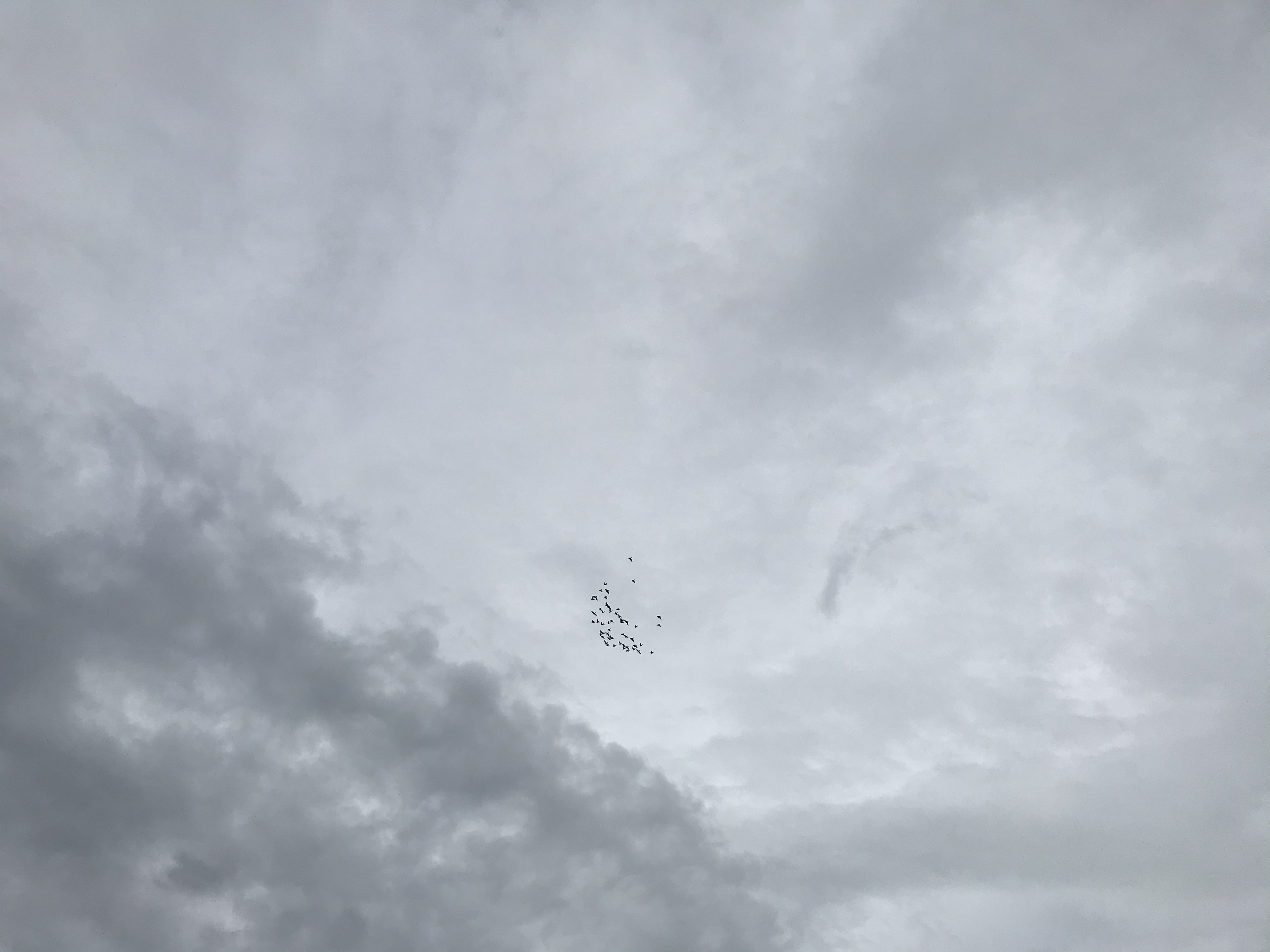 0918/2 0918/2