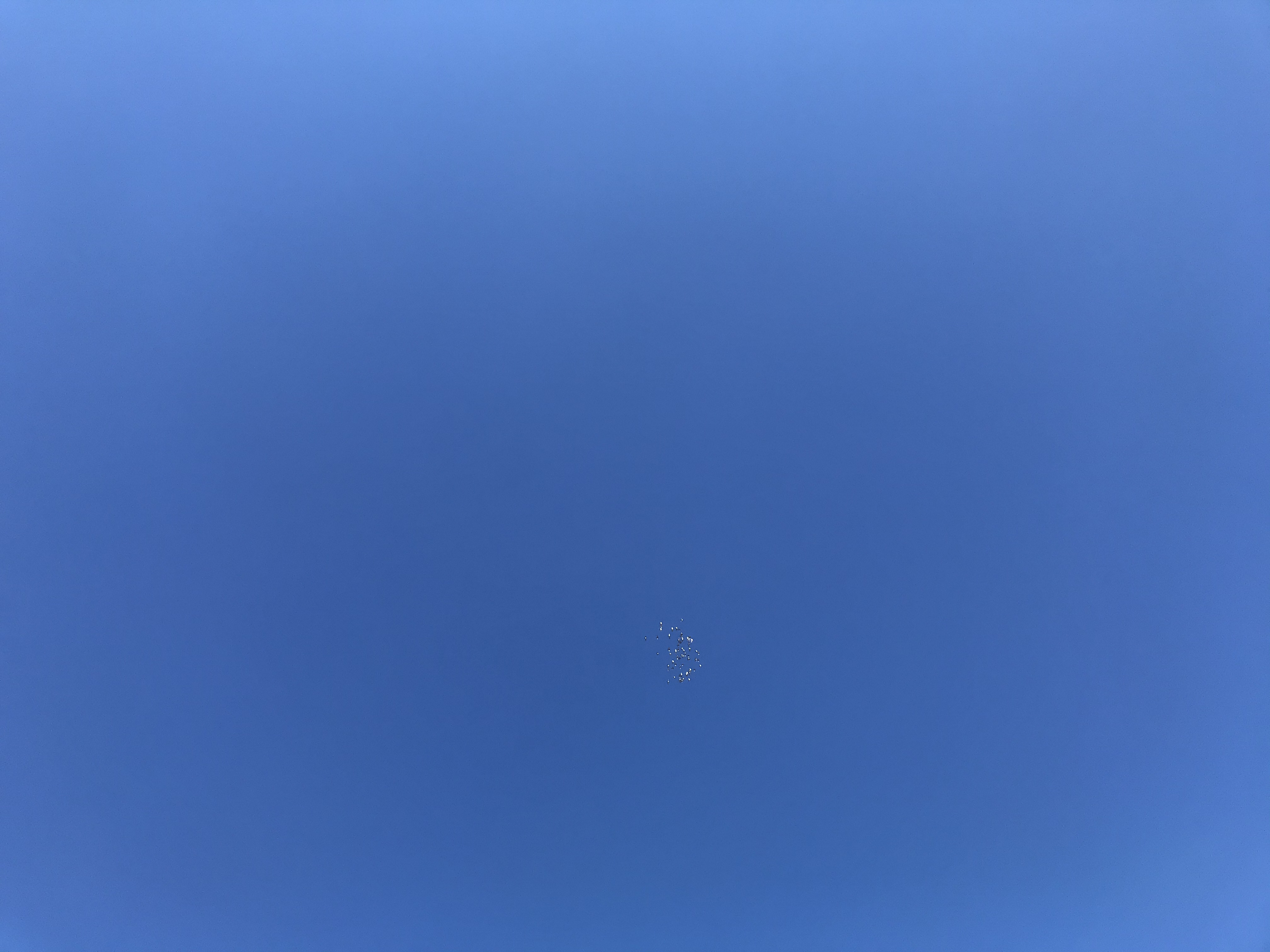 0920/2 0920/2