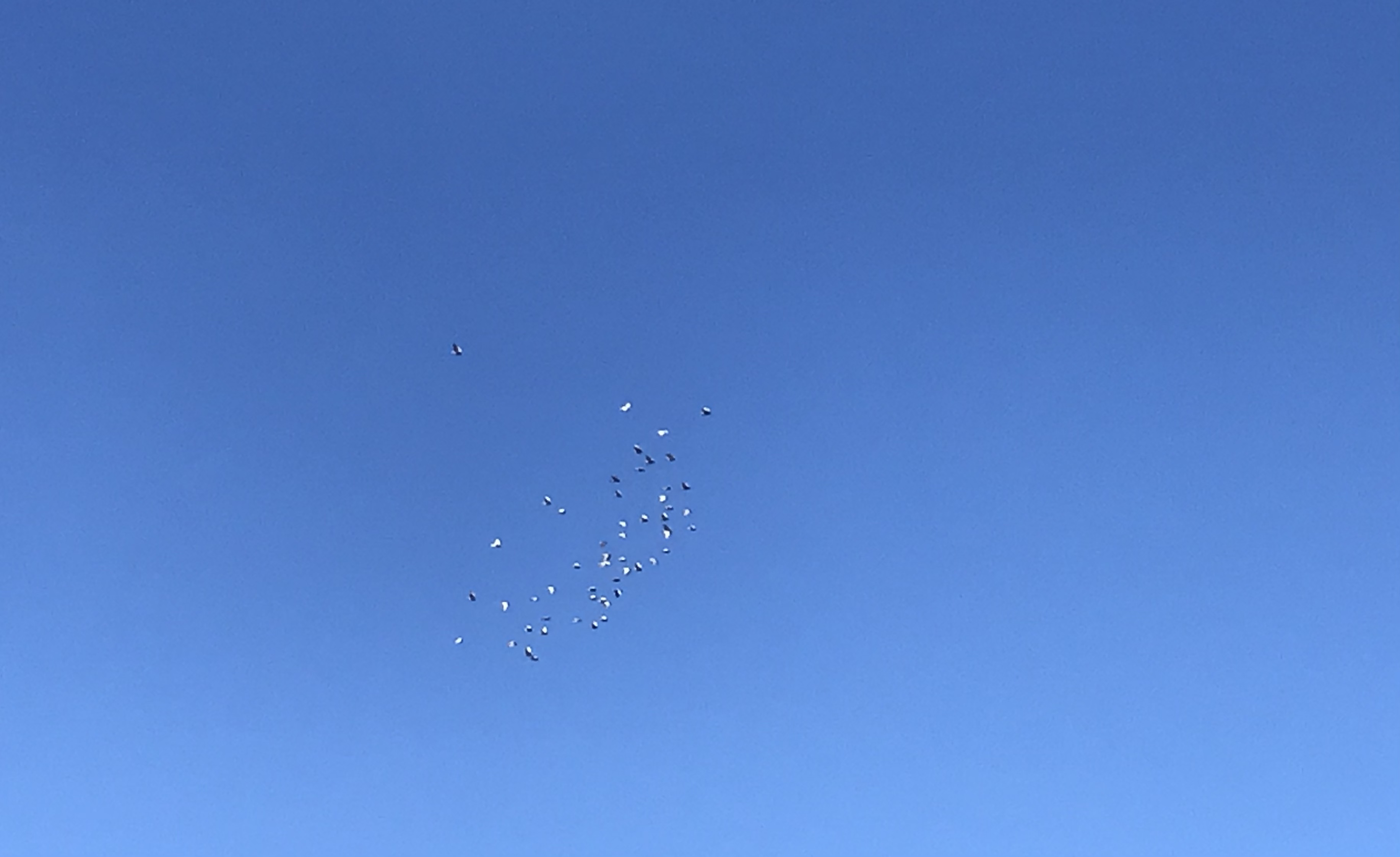 1002/1