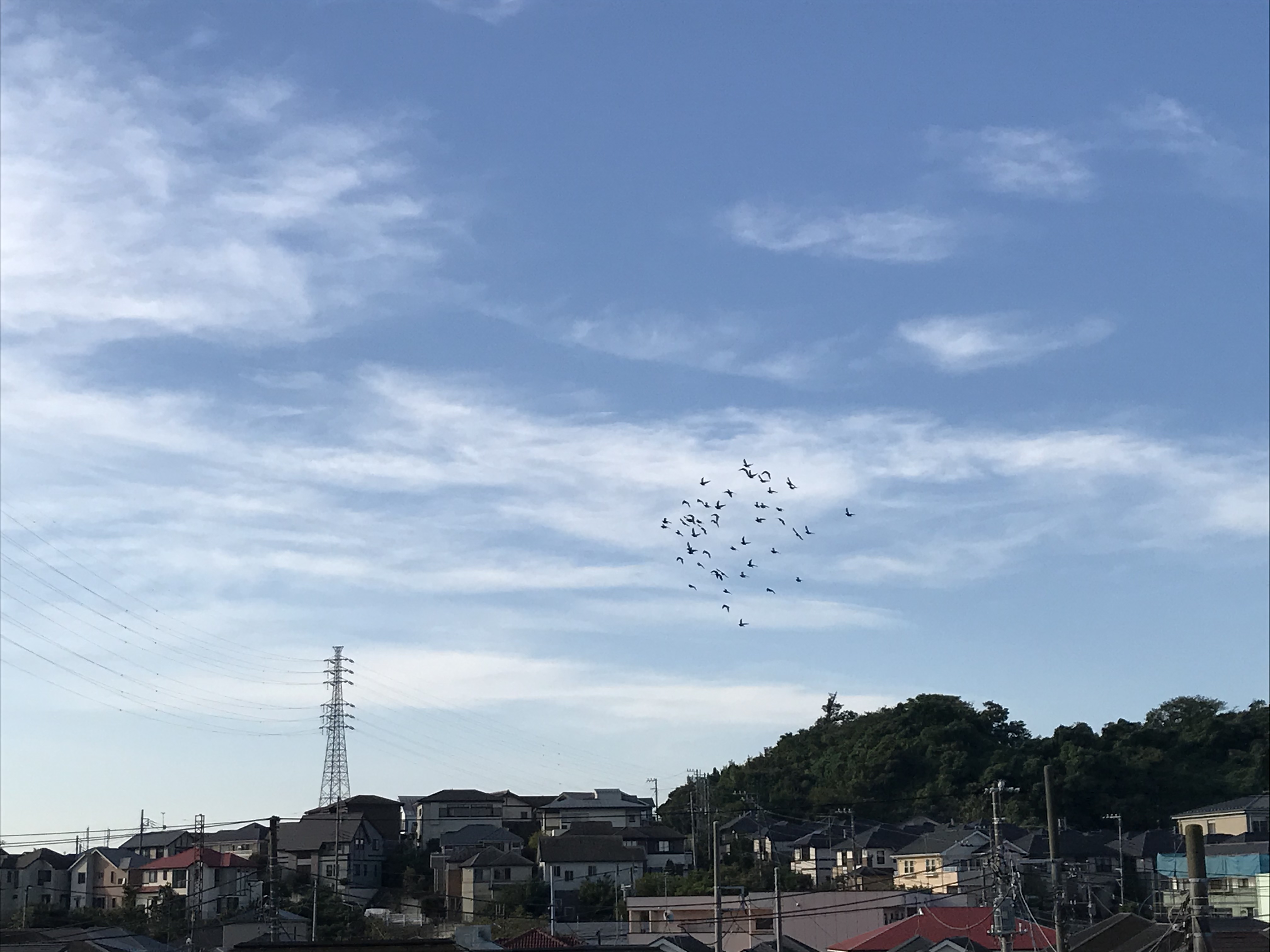 1006/2 1006/2