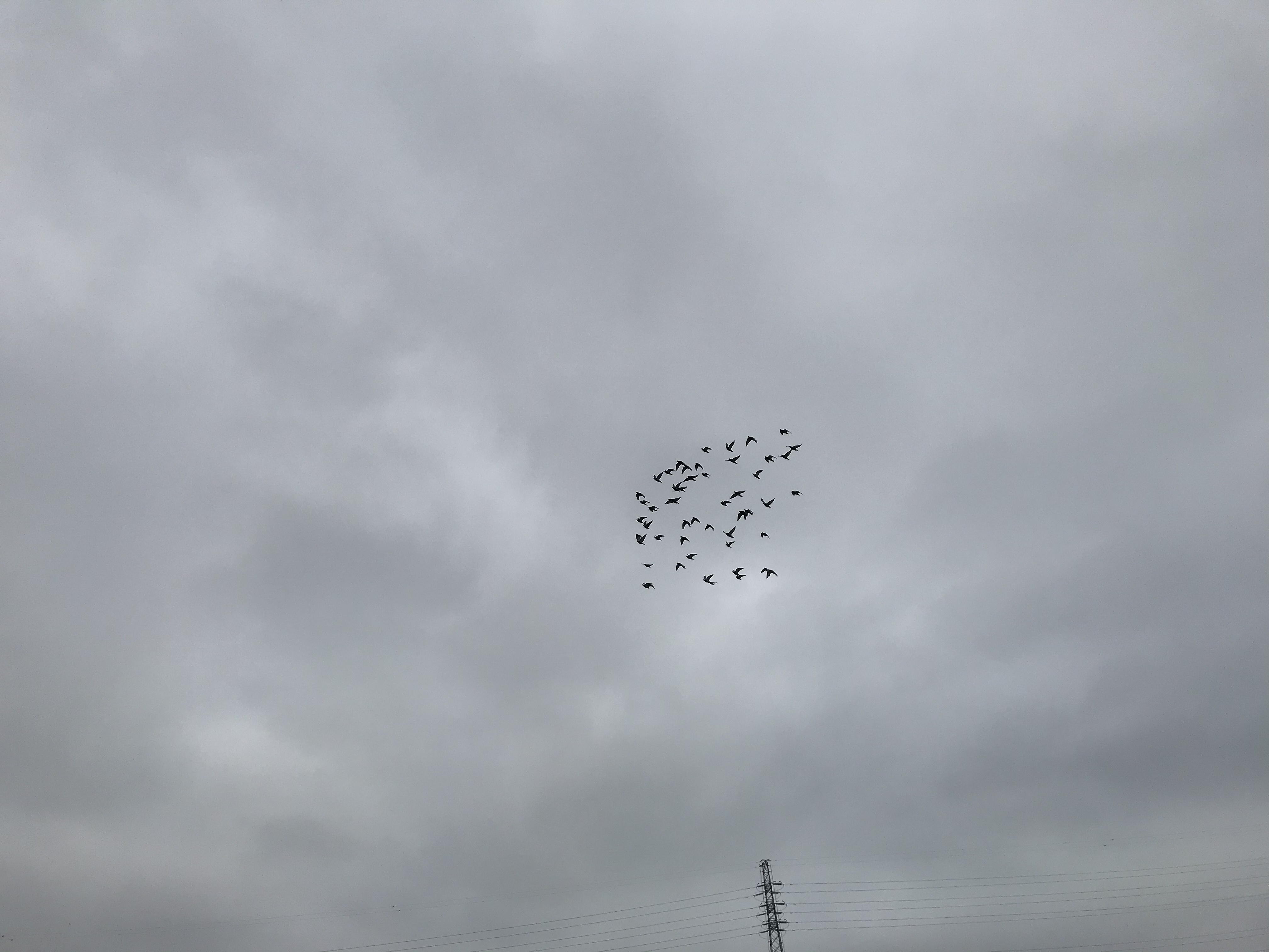 1012/1 1012/1