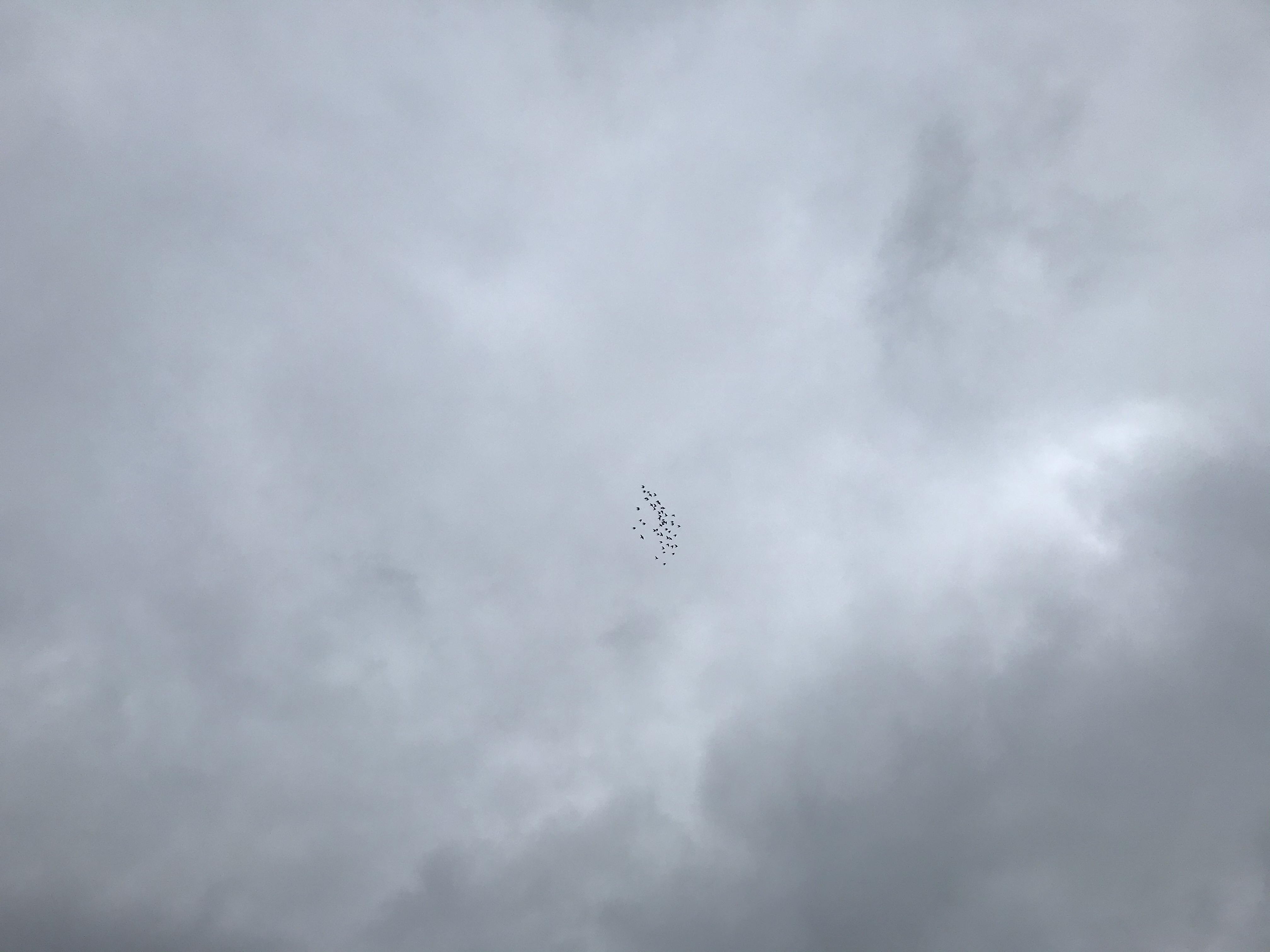 1013/1 1013/1