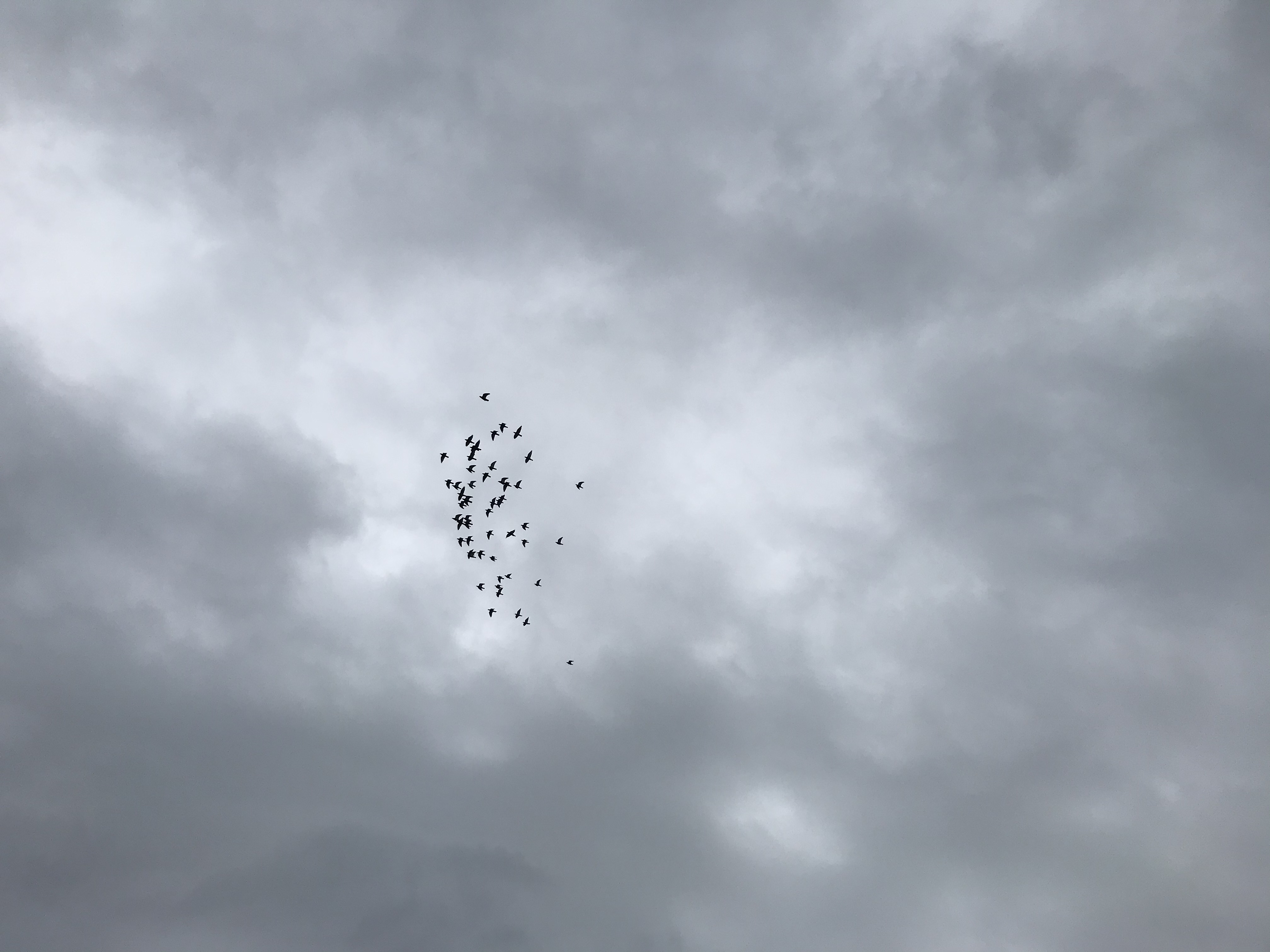 1016/1 1016/1