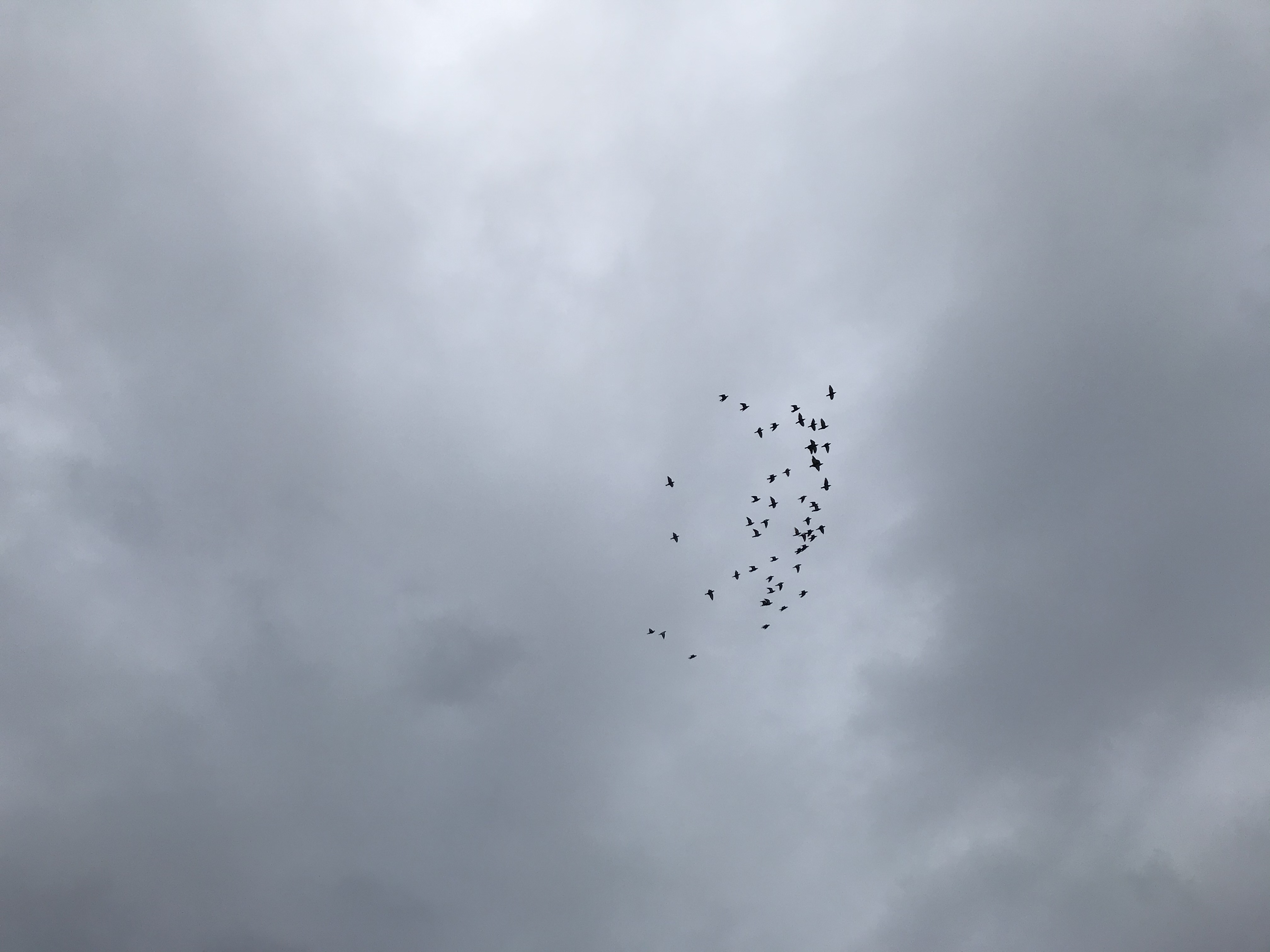 1016/2 1016/2