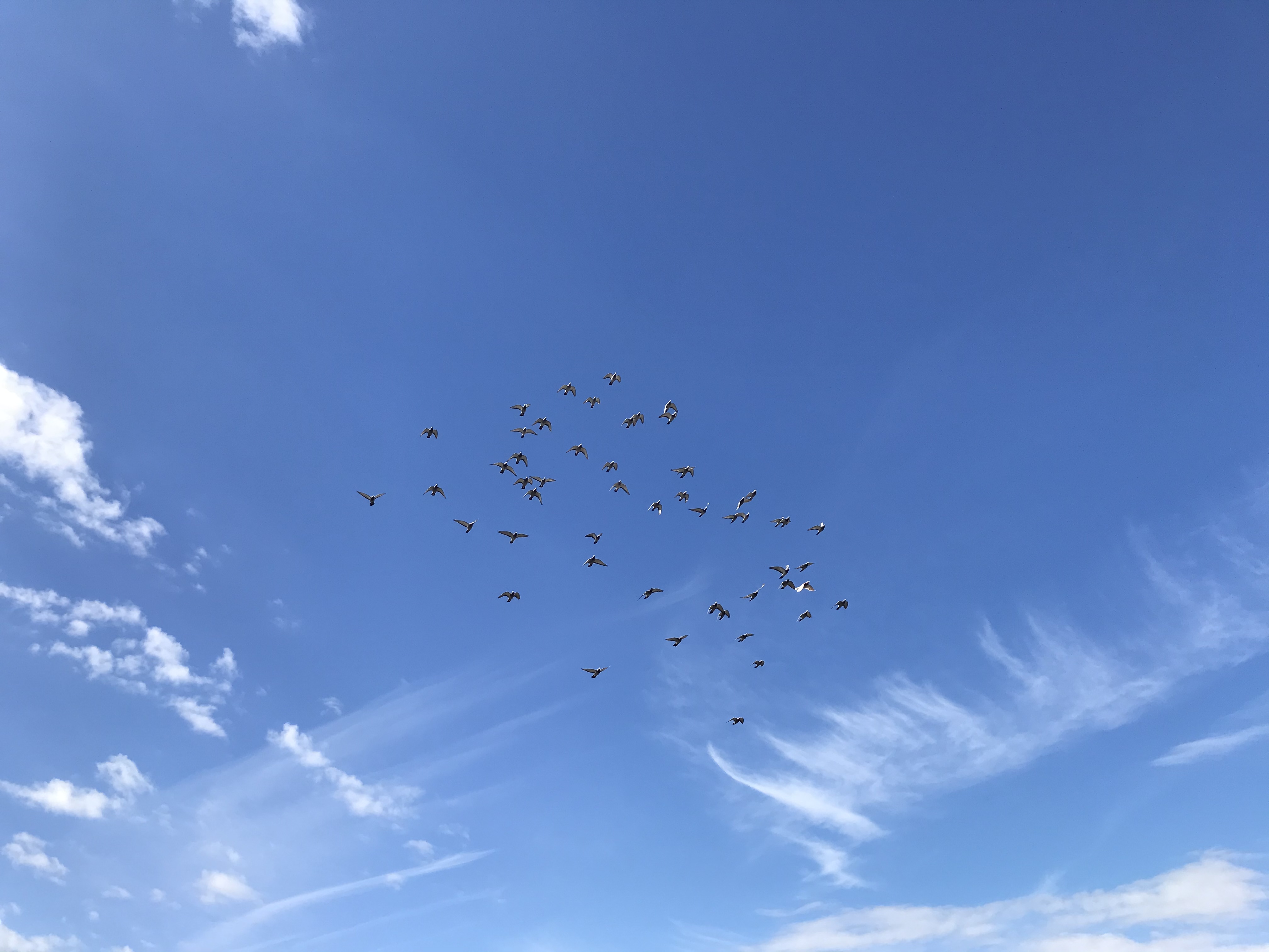 1021/2 1021/2