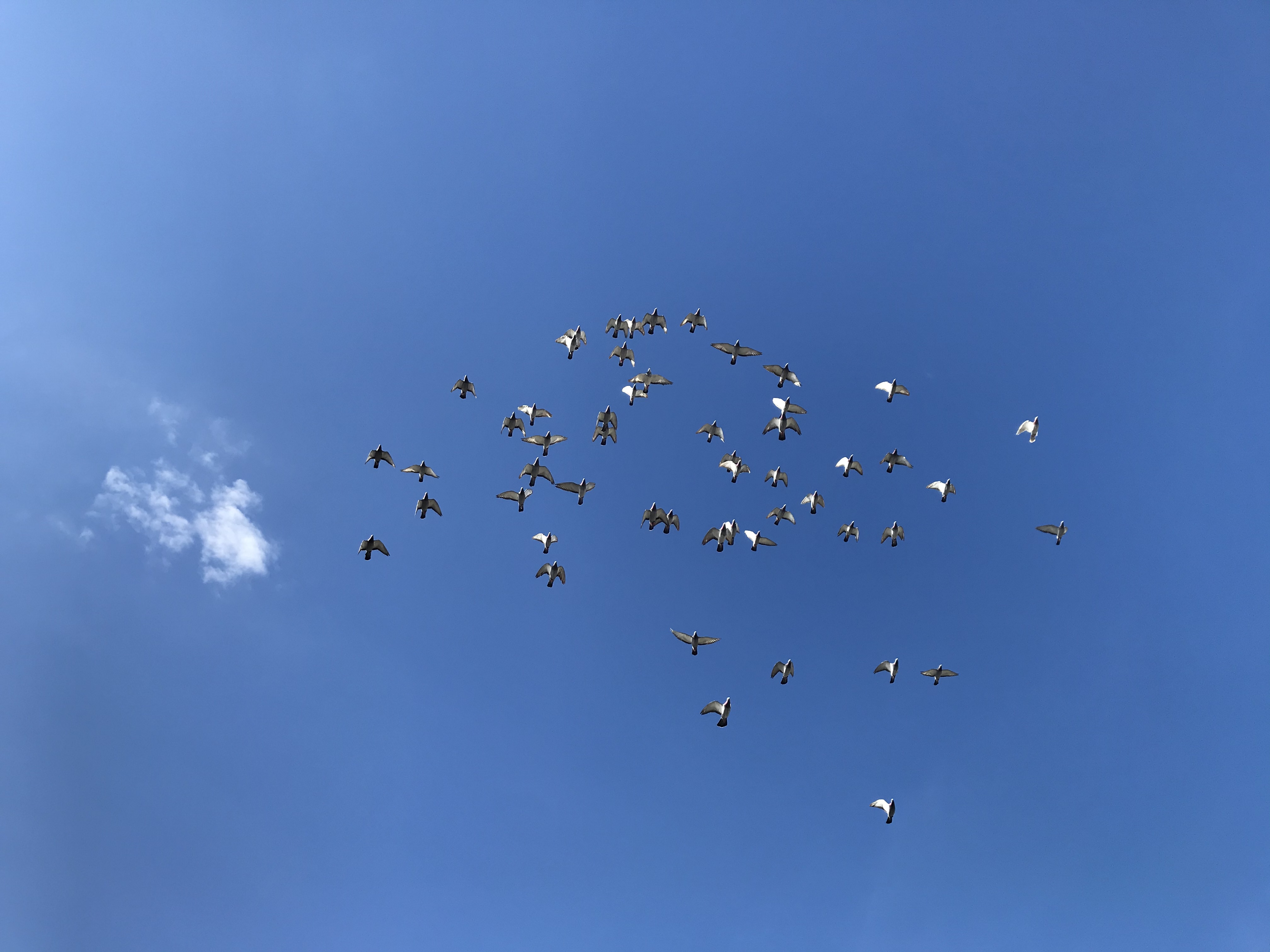 1021/3 1021/3