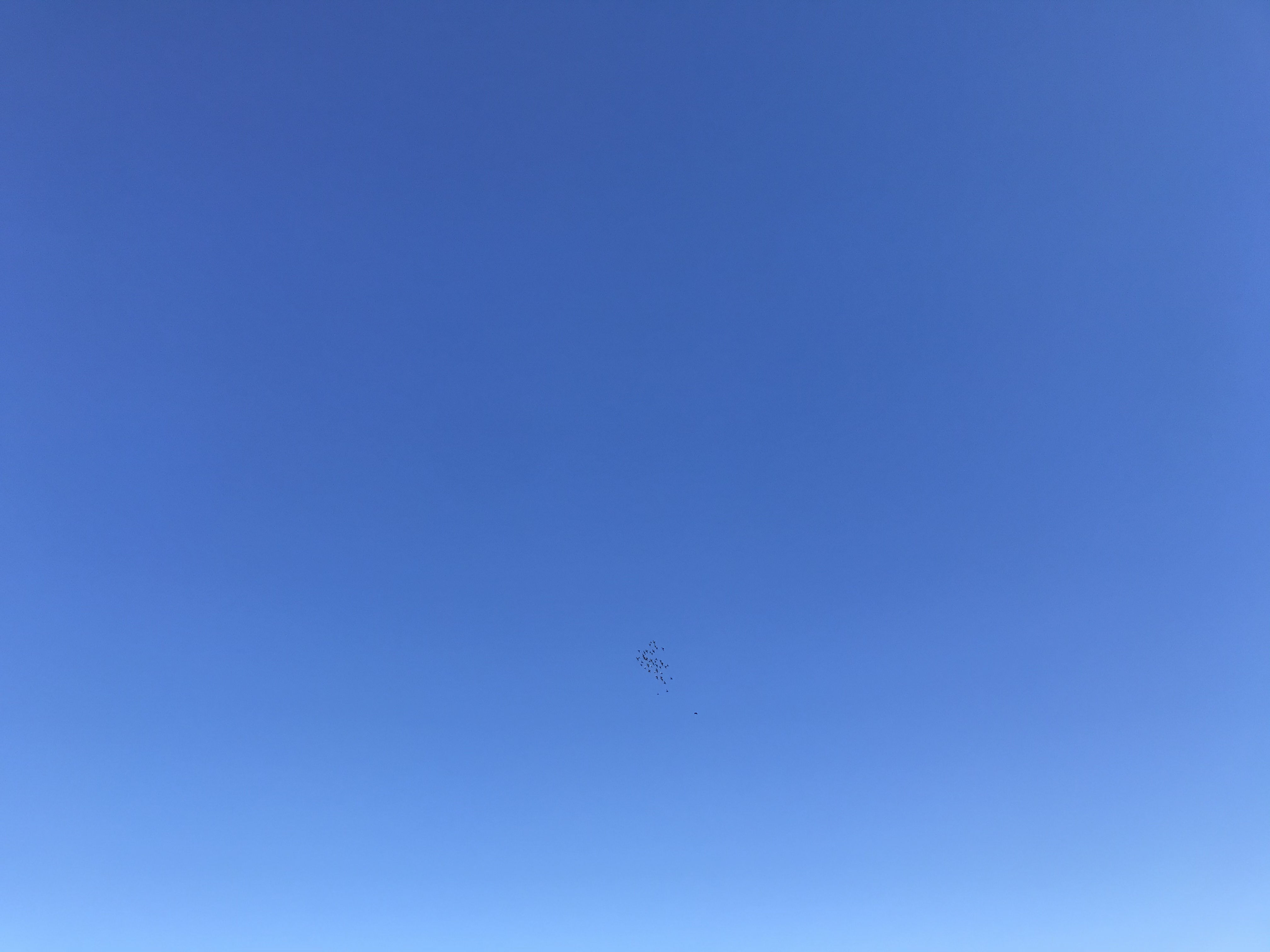 1023/1