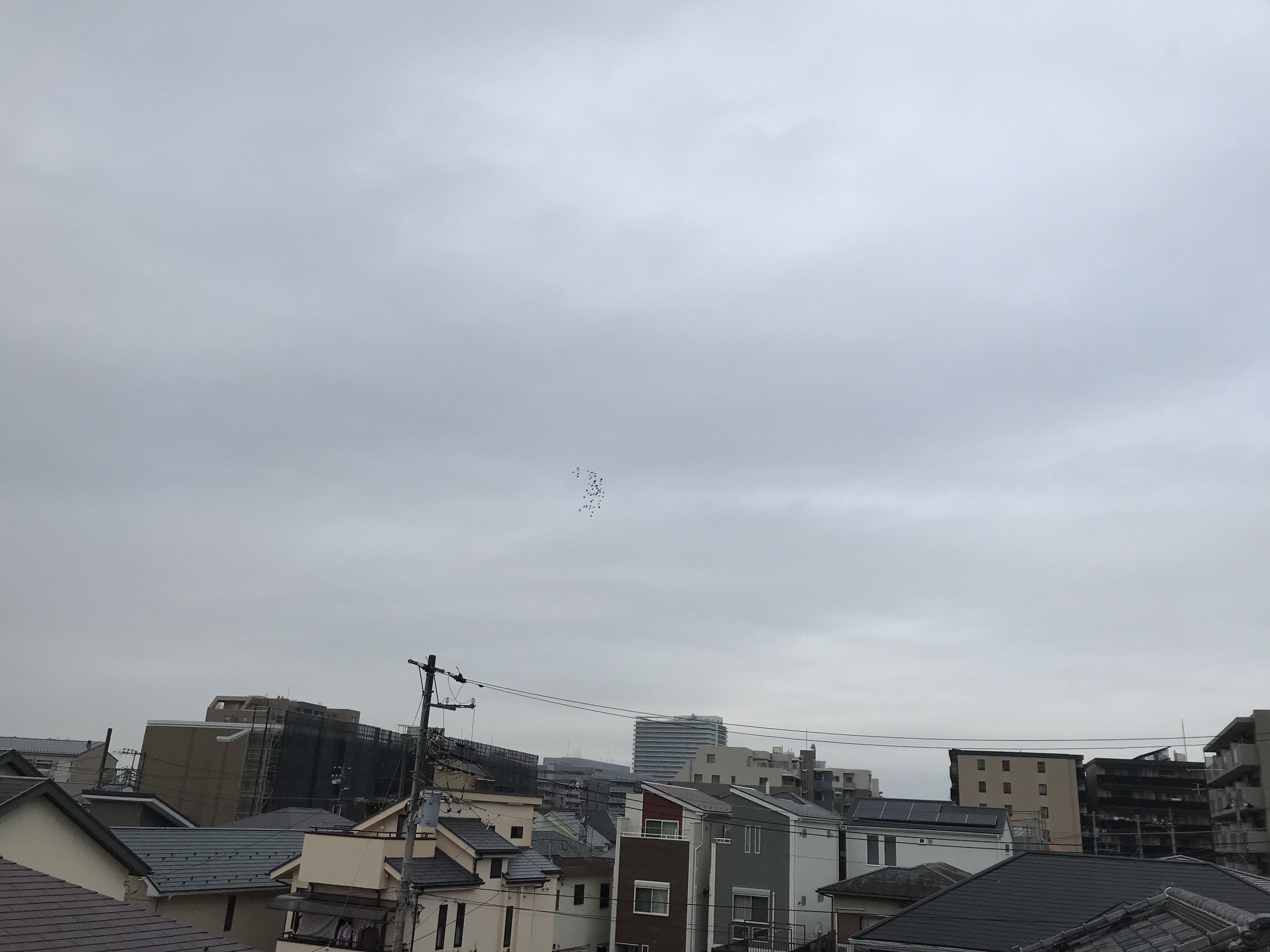 1027/1 1027/1