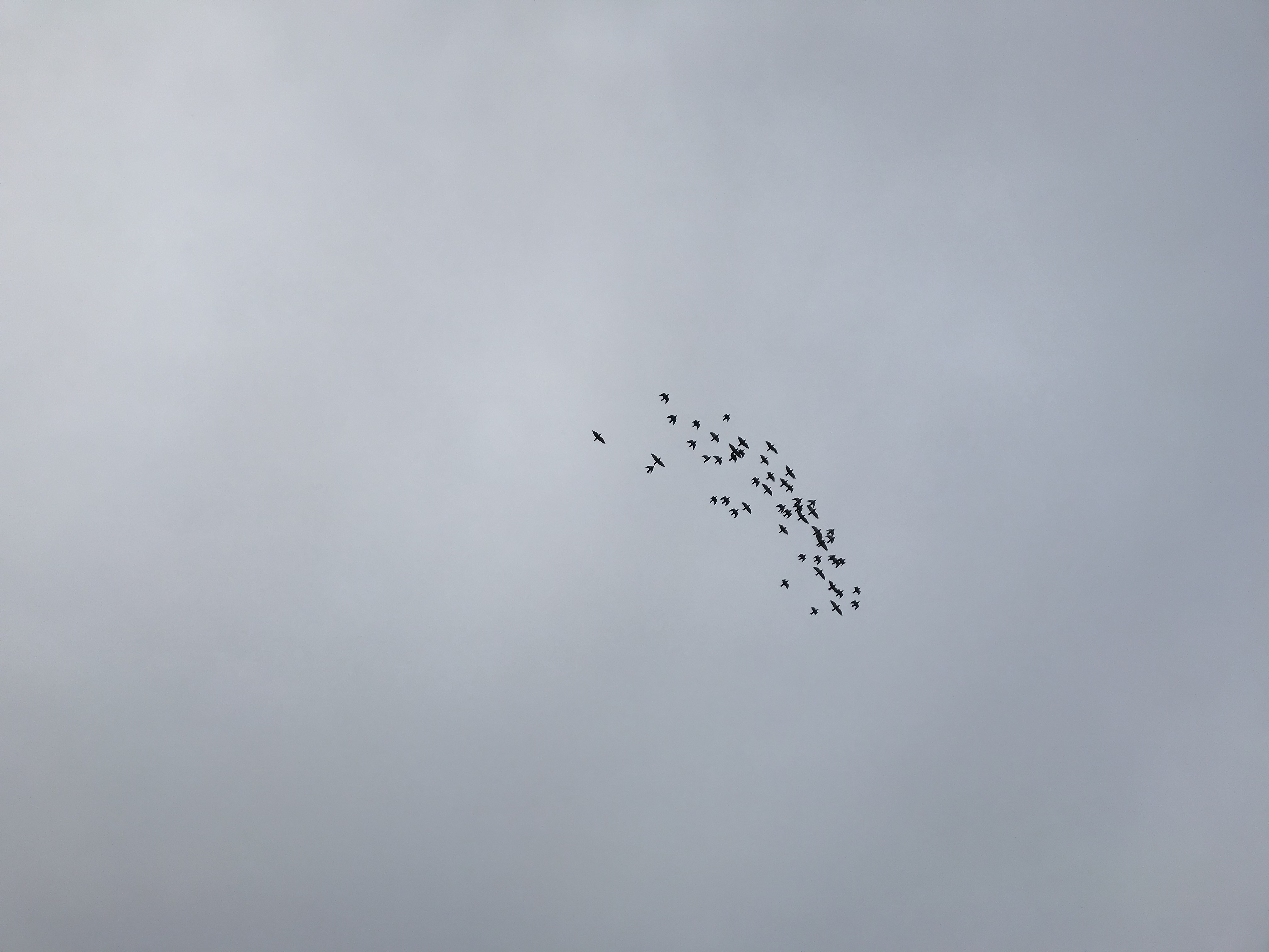 1027/2 1027/2