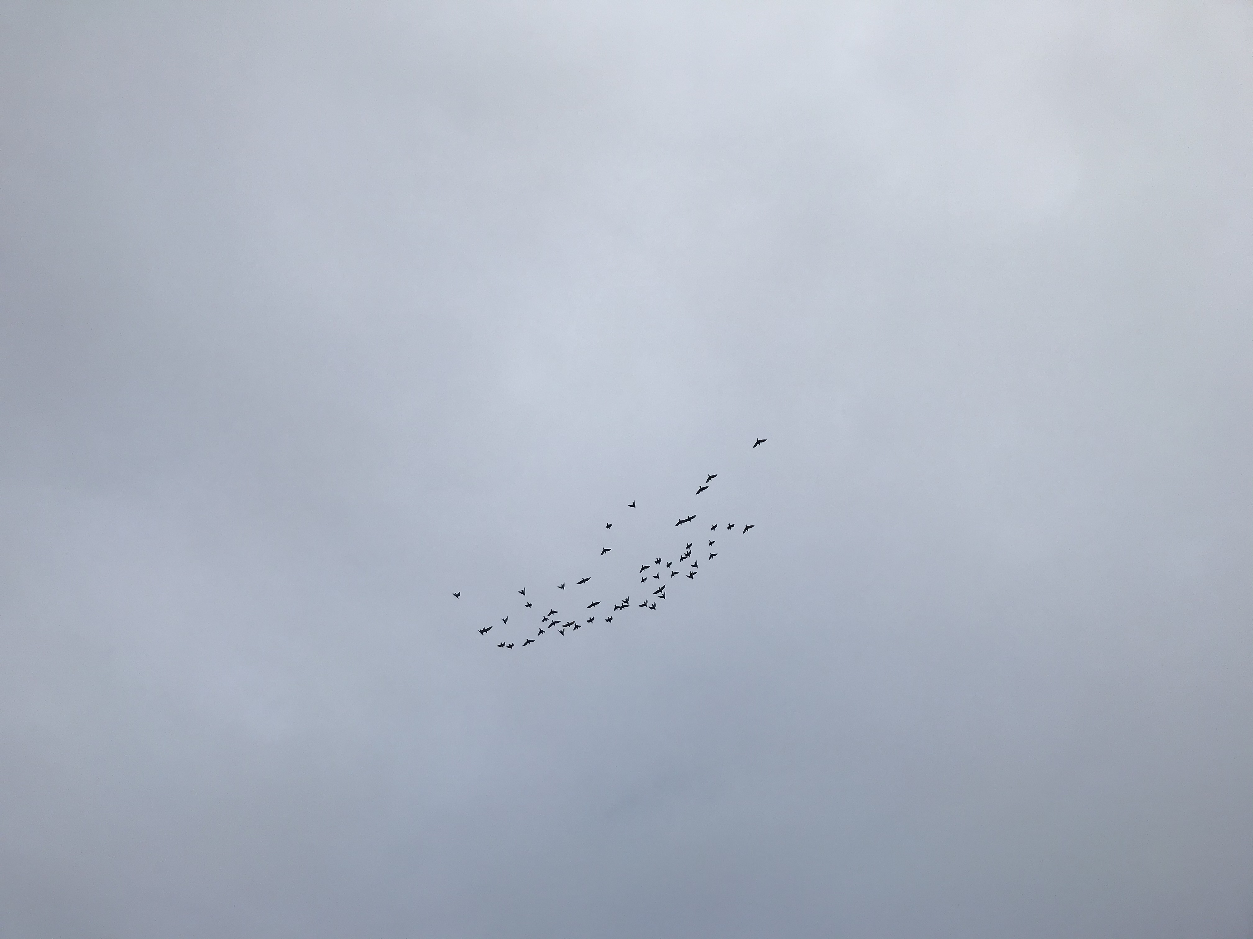 1027/3 1027/3