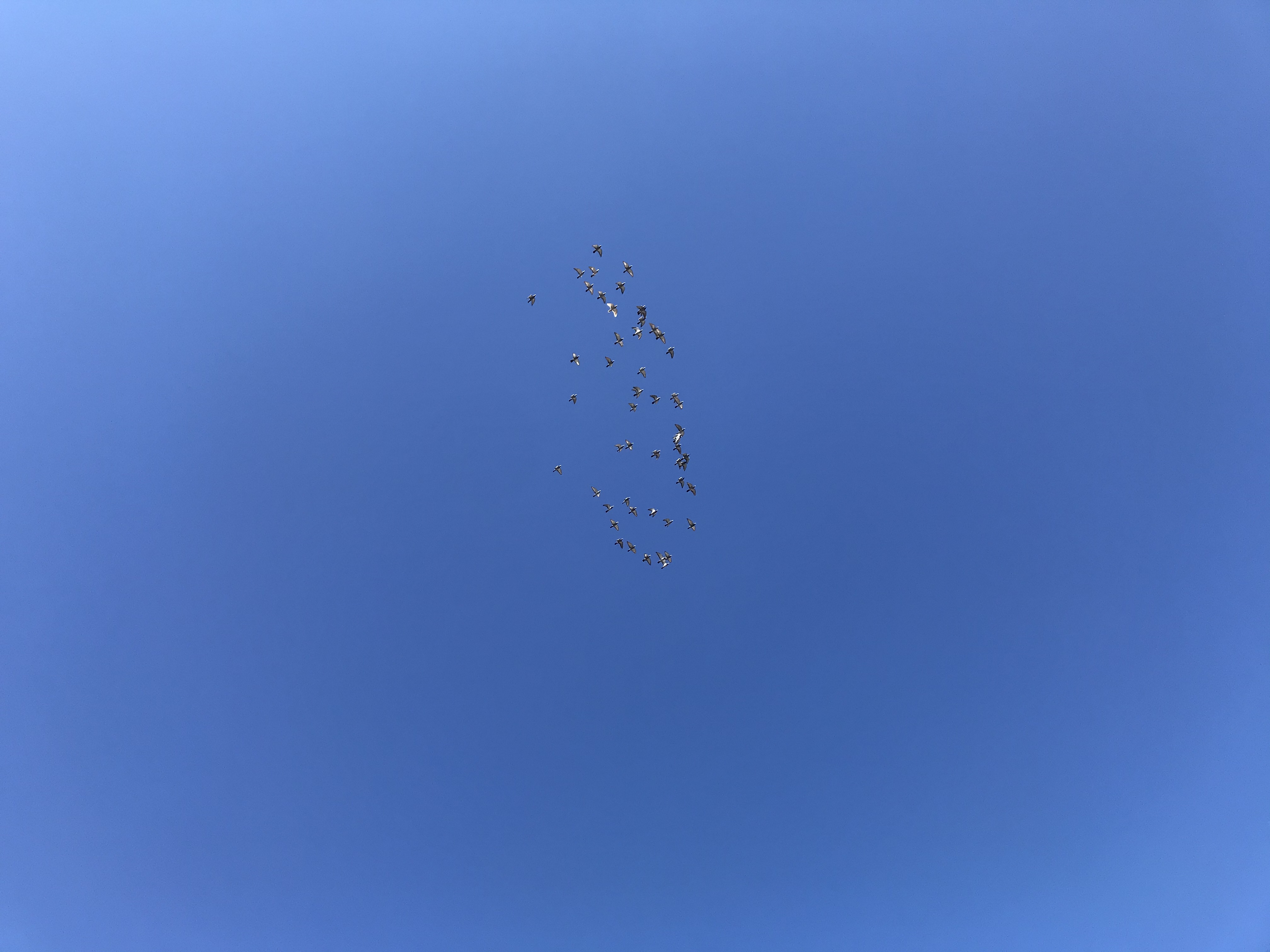 1028/2 1028/2