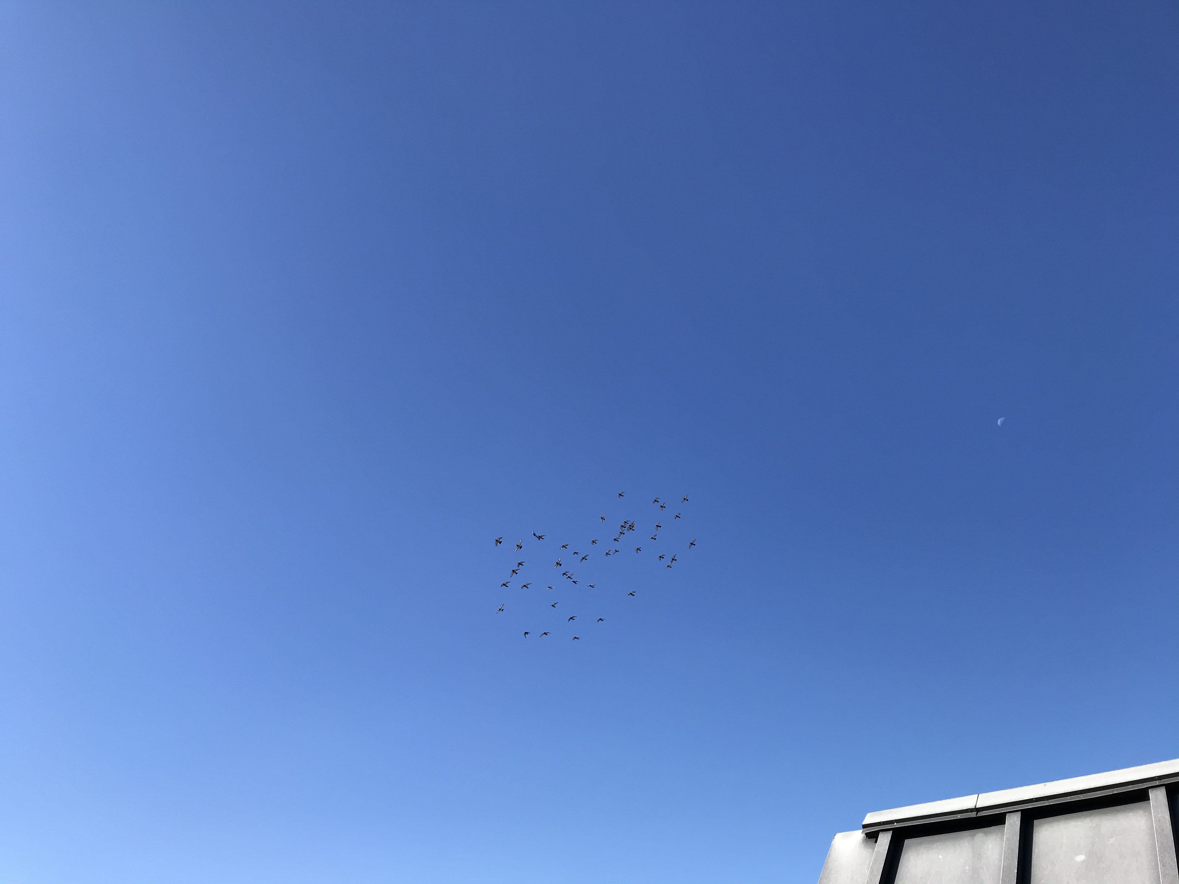 1029/1 1029/1