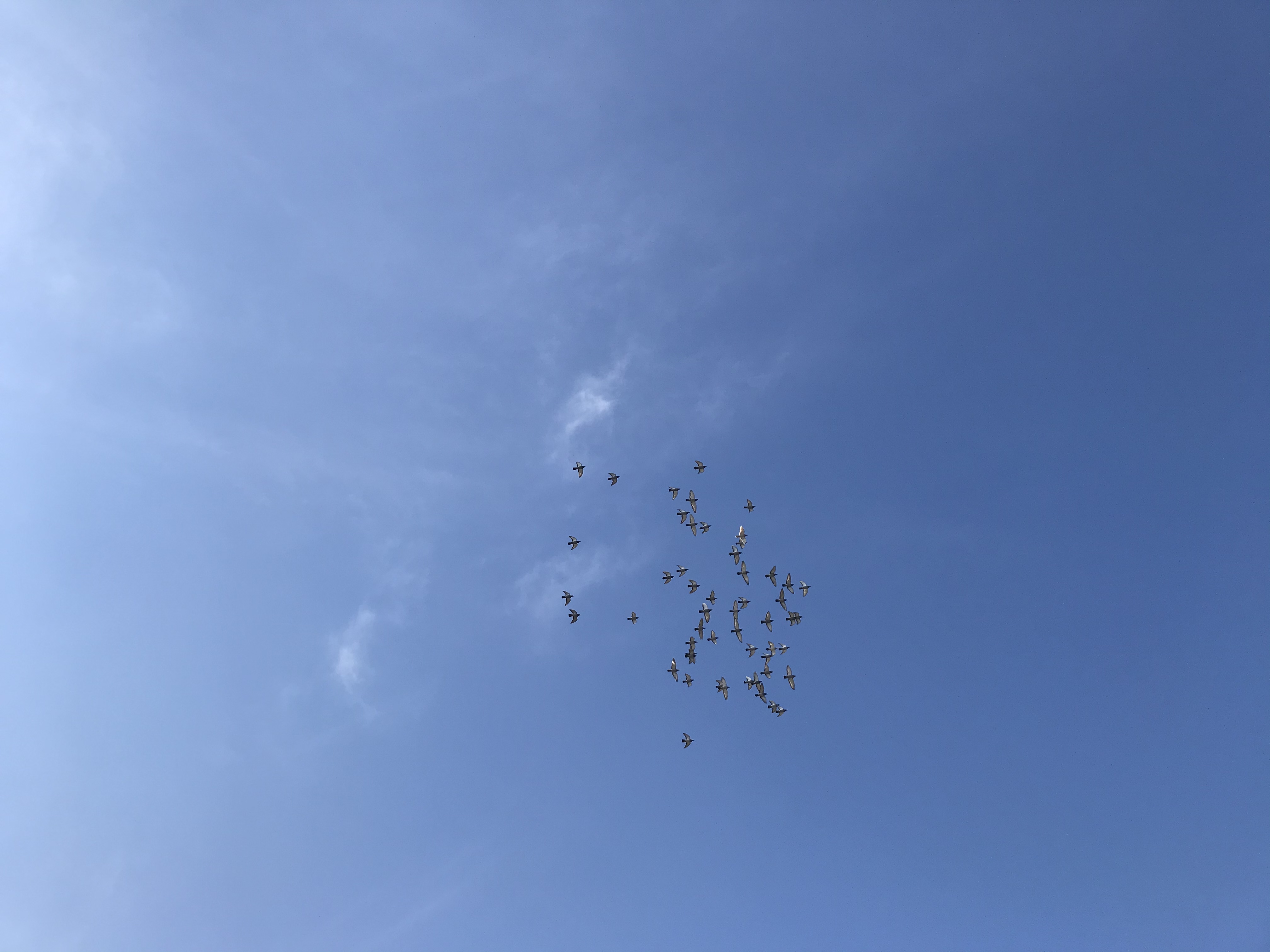 1104/1 1104/1