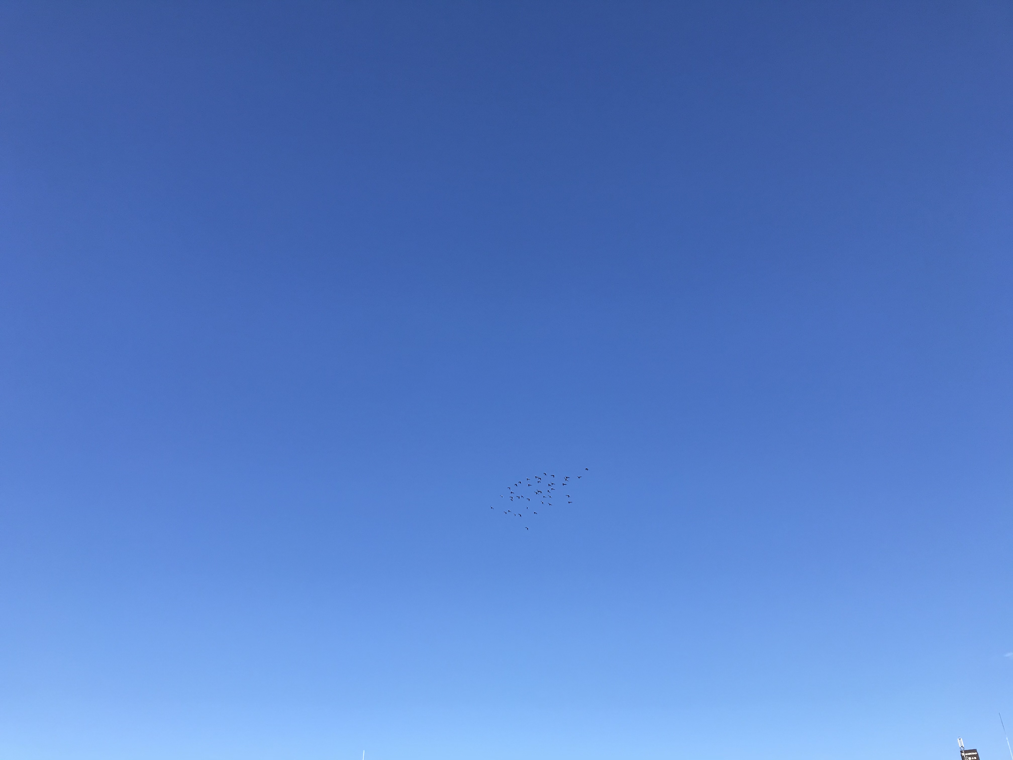 1112/2