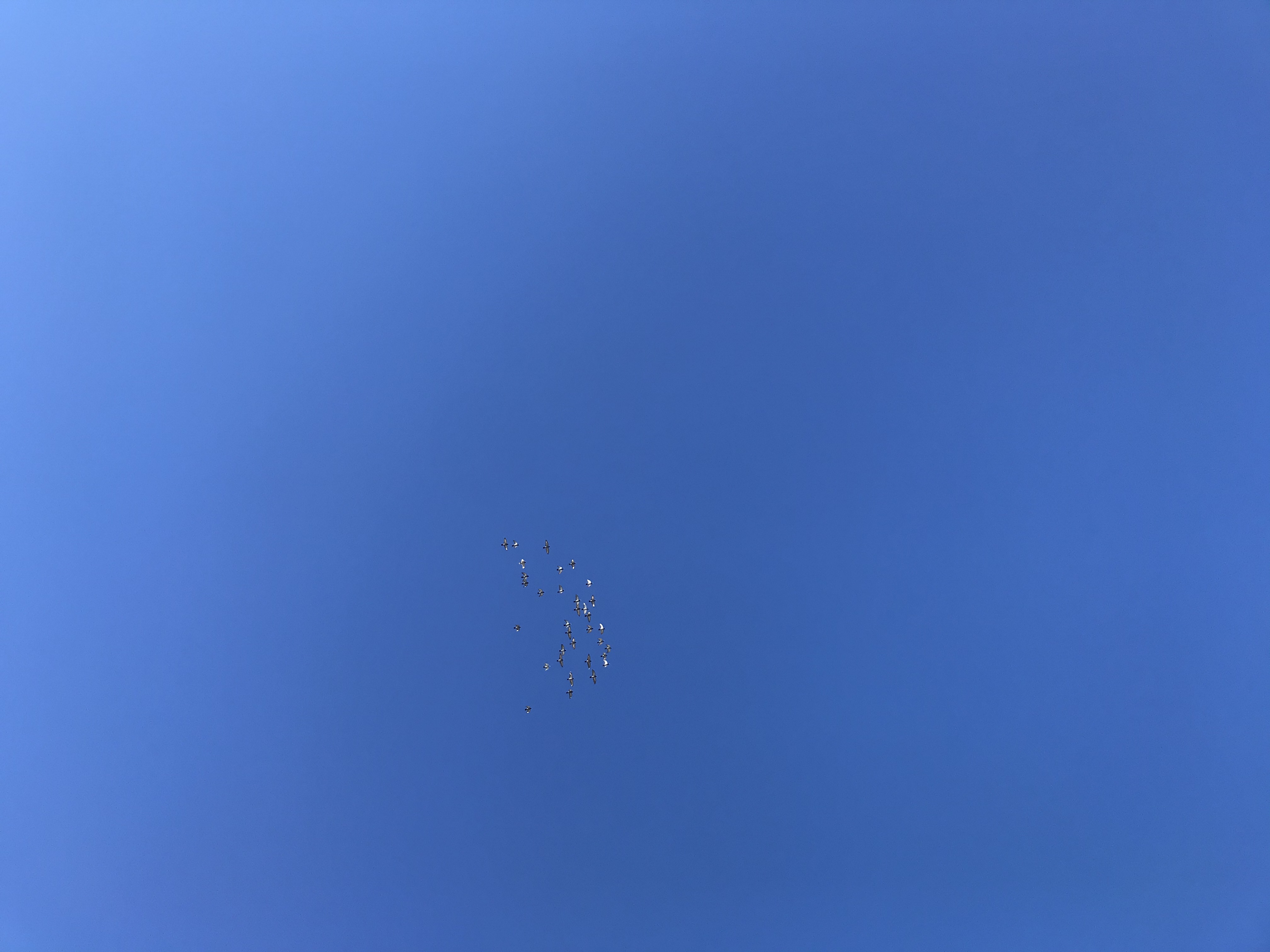 1128/1 1128/1