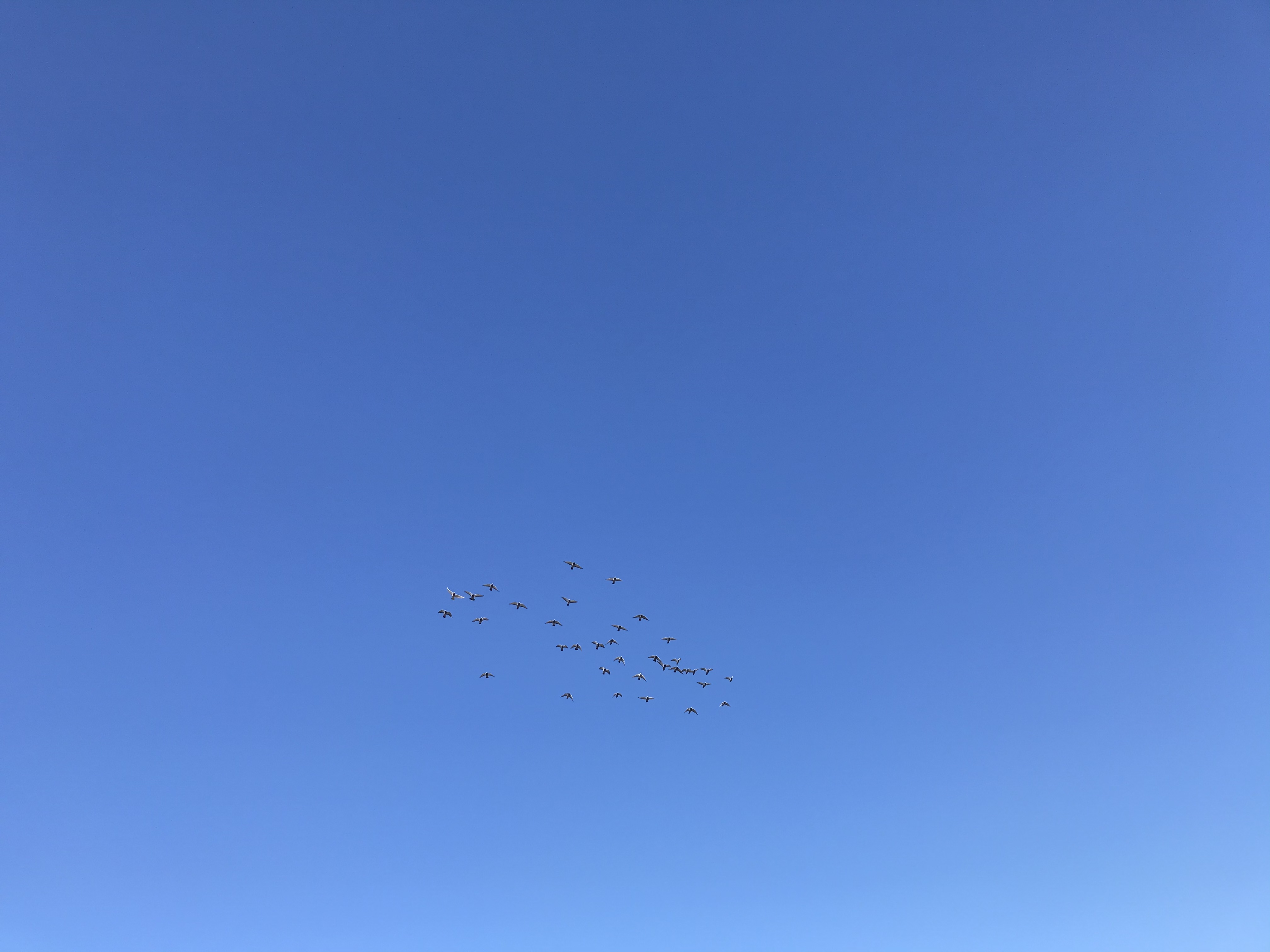1202/1 1202/1