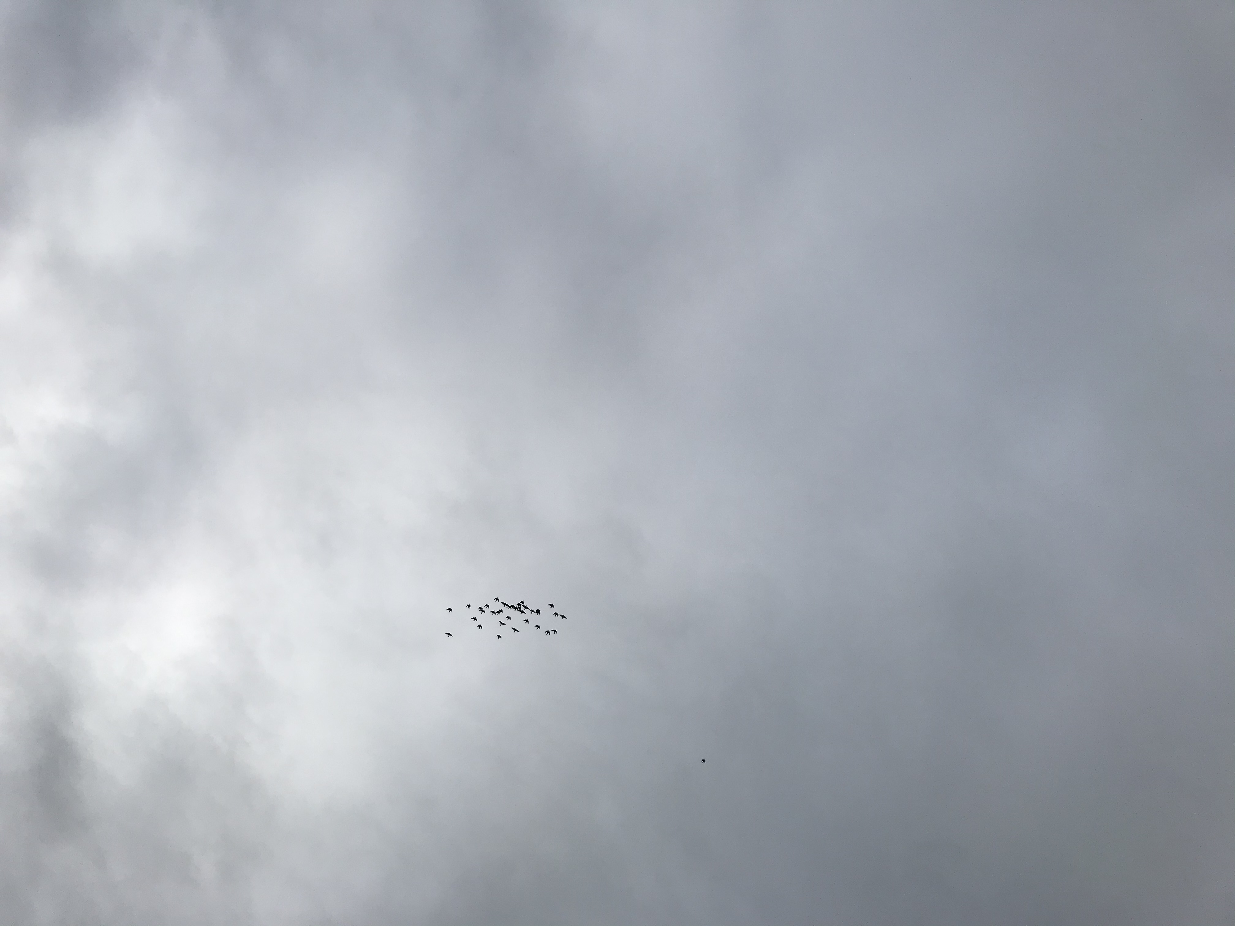 1206/1 1206/1