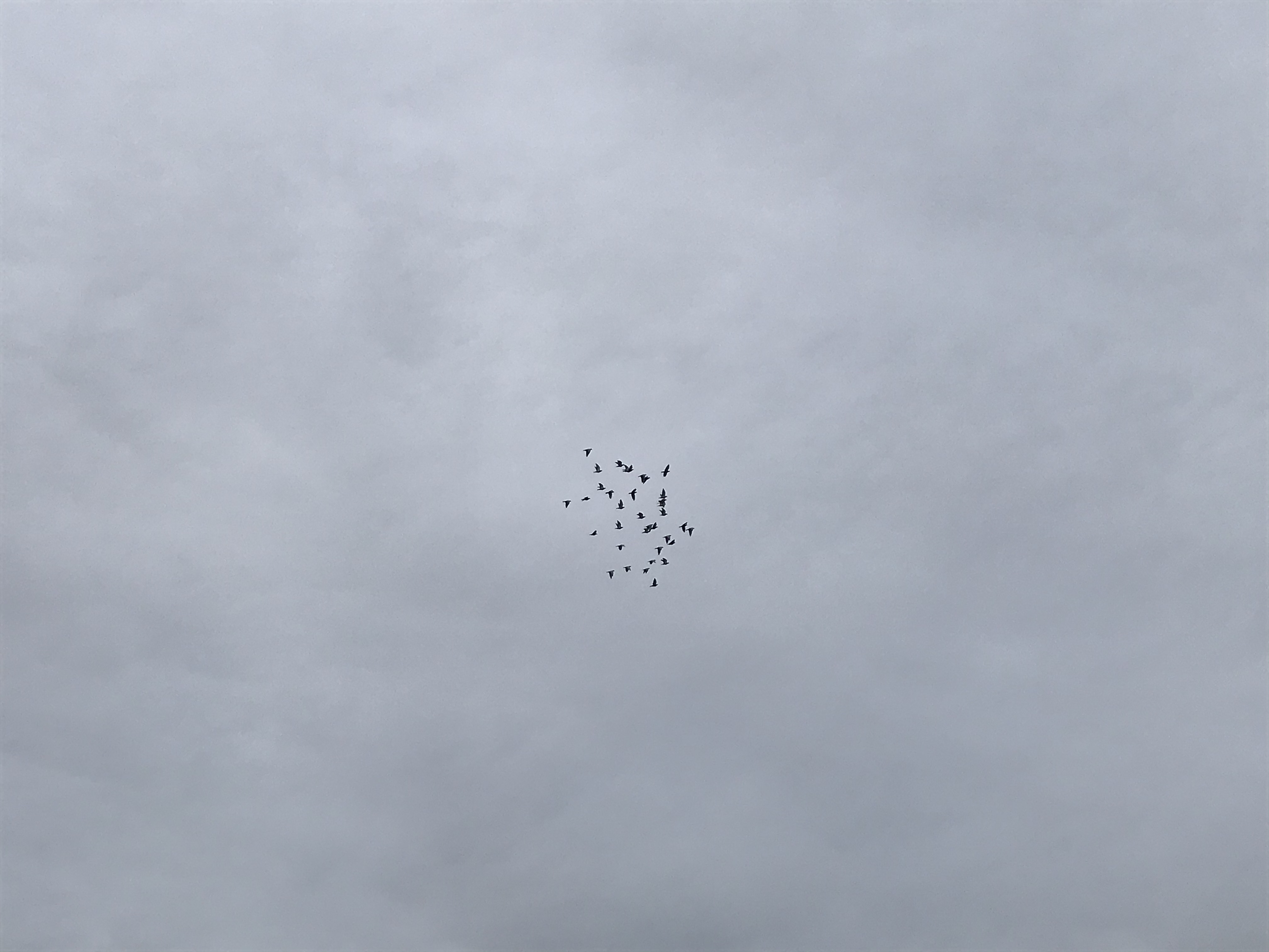 1209/1 1209/1